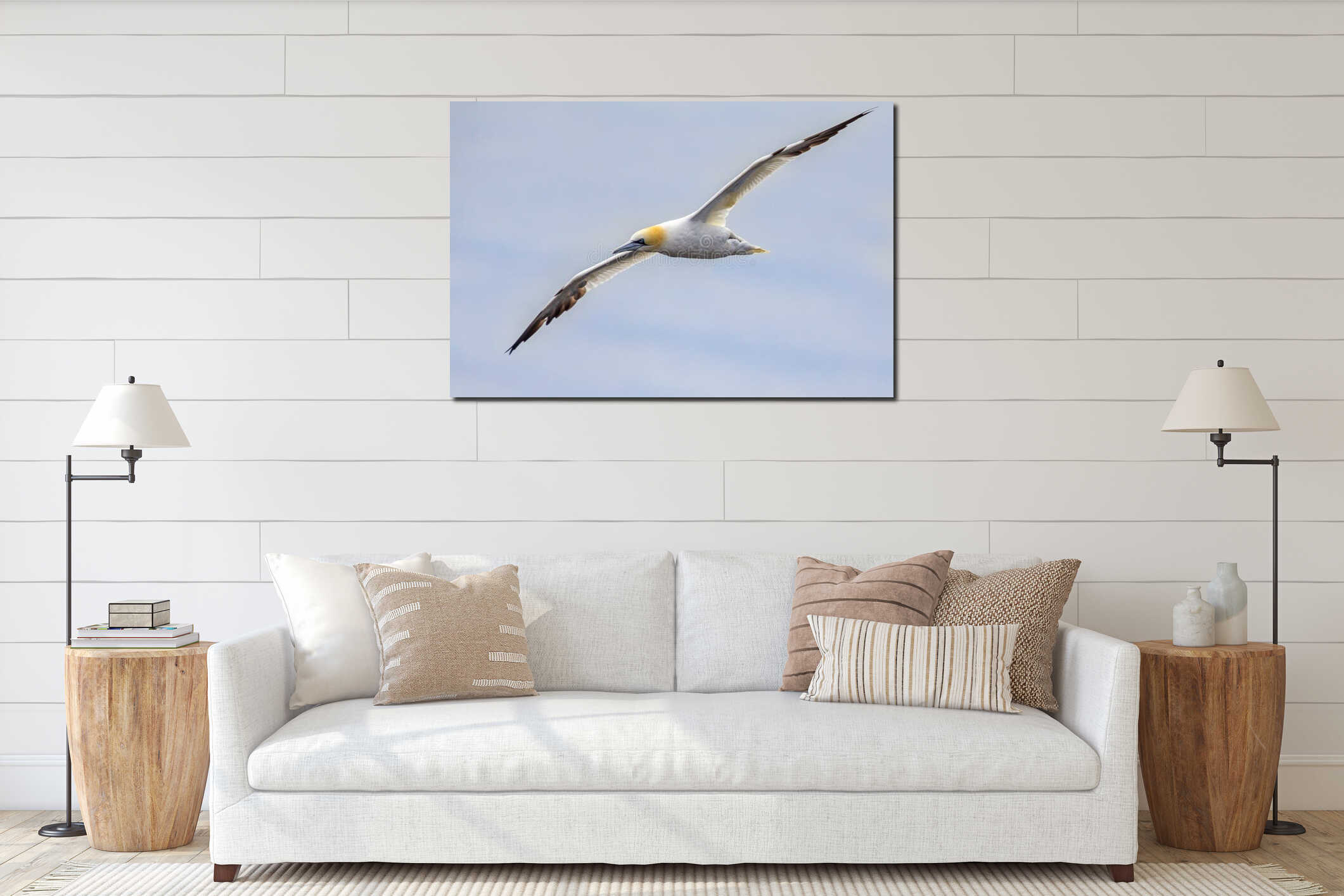 Northern gannet in flight interior mockup