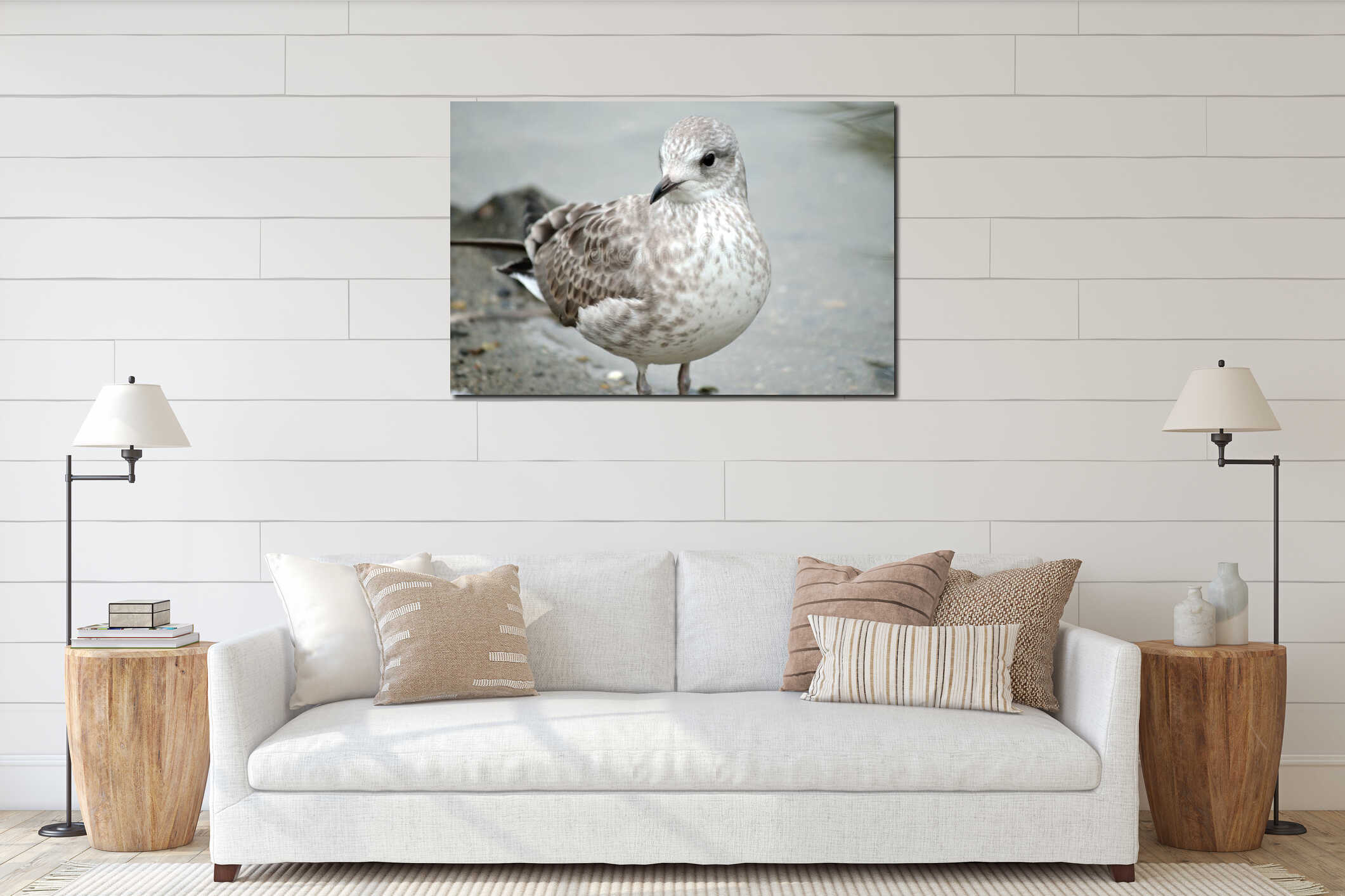 Small seagull standing beside pond shore in summer interior mockup