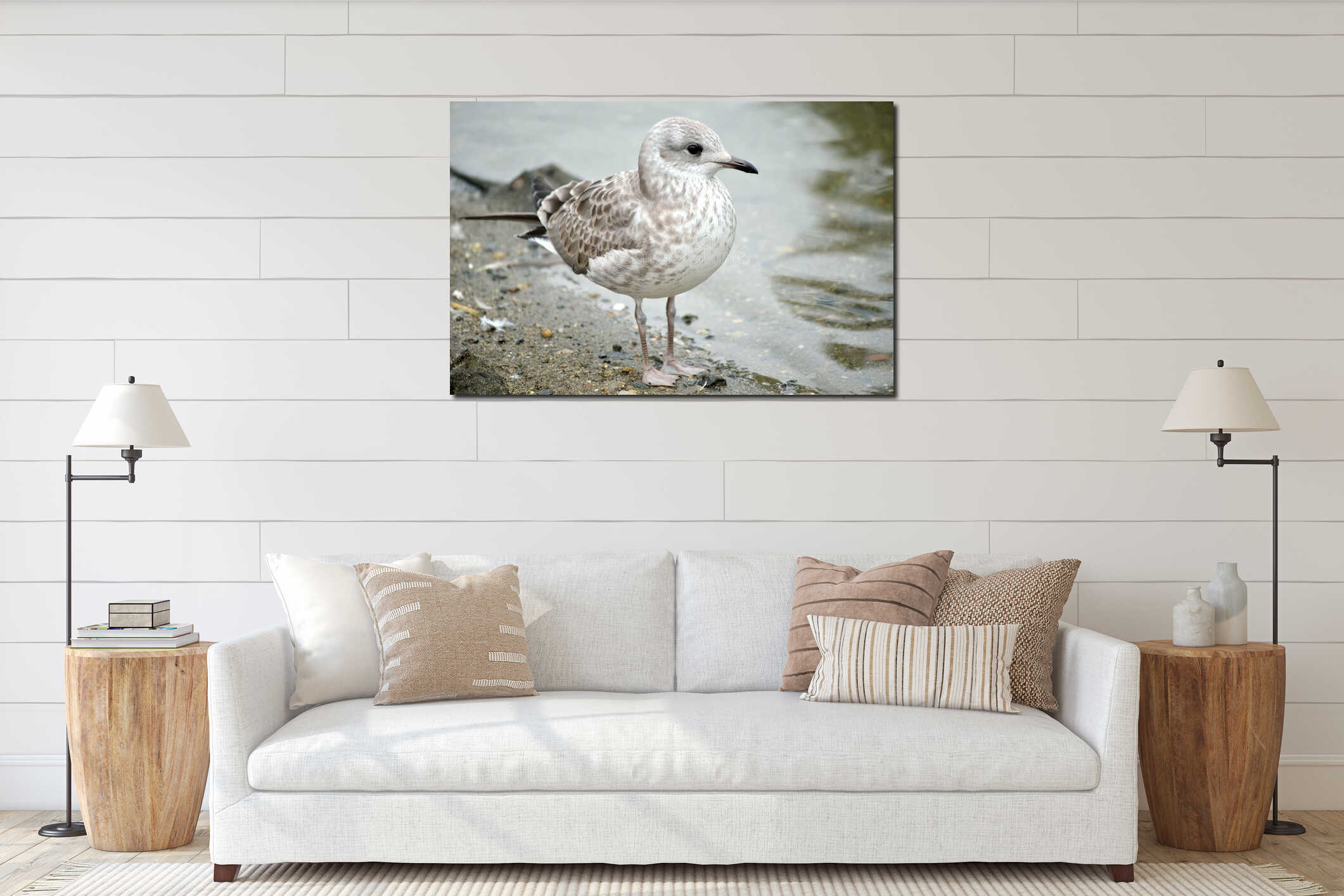 Small seagull standing beside pond shore in summer interior mockup