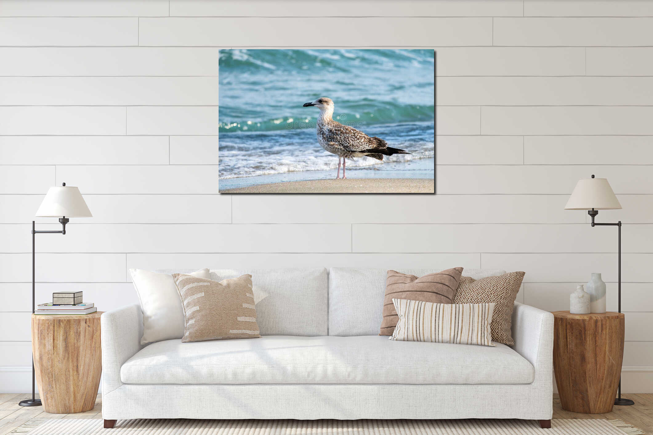 Young seagull on the beach. interior mockup