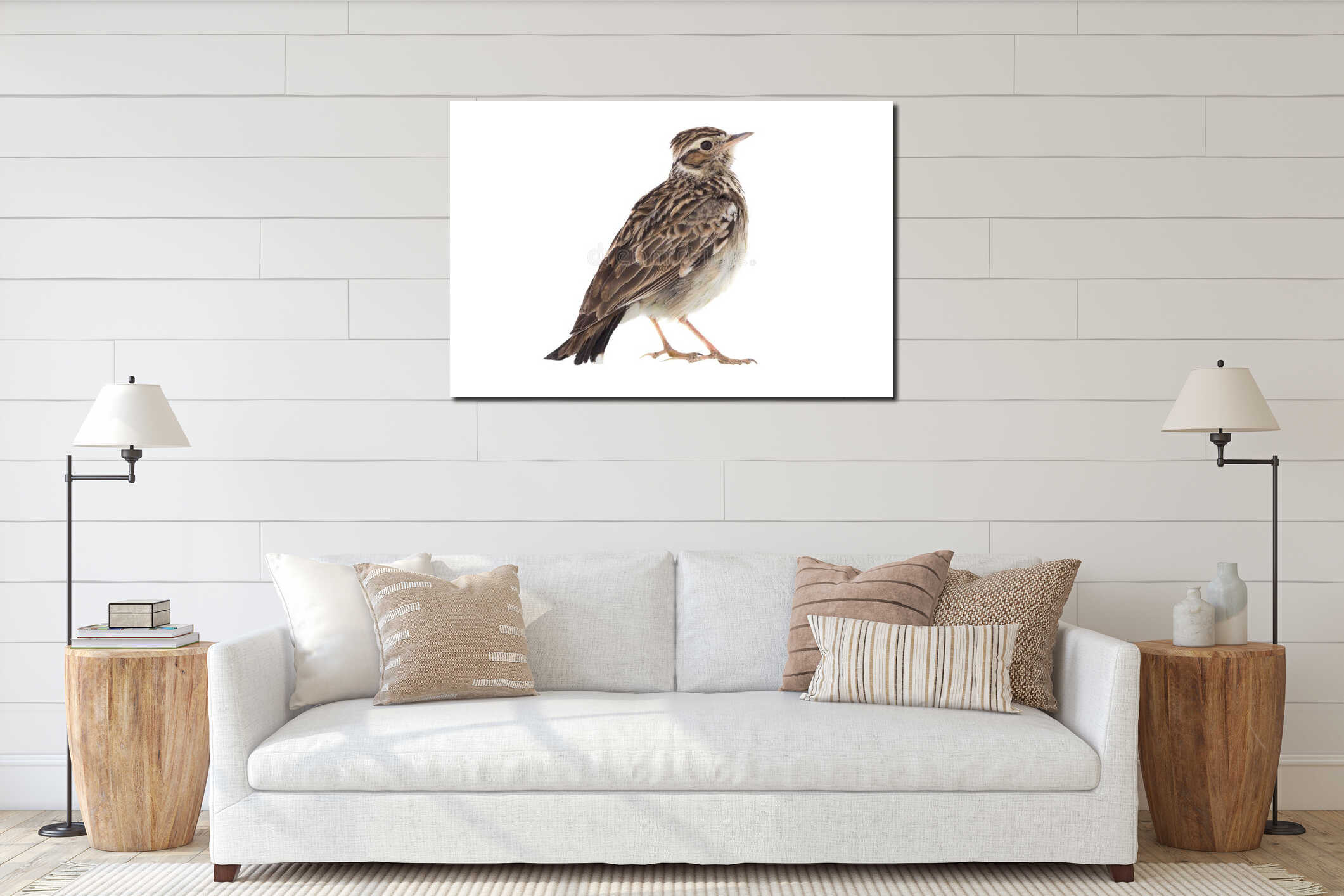 Wood Lark Lullula arborea interior mockup