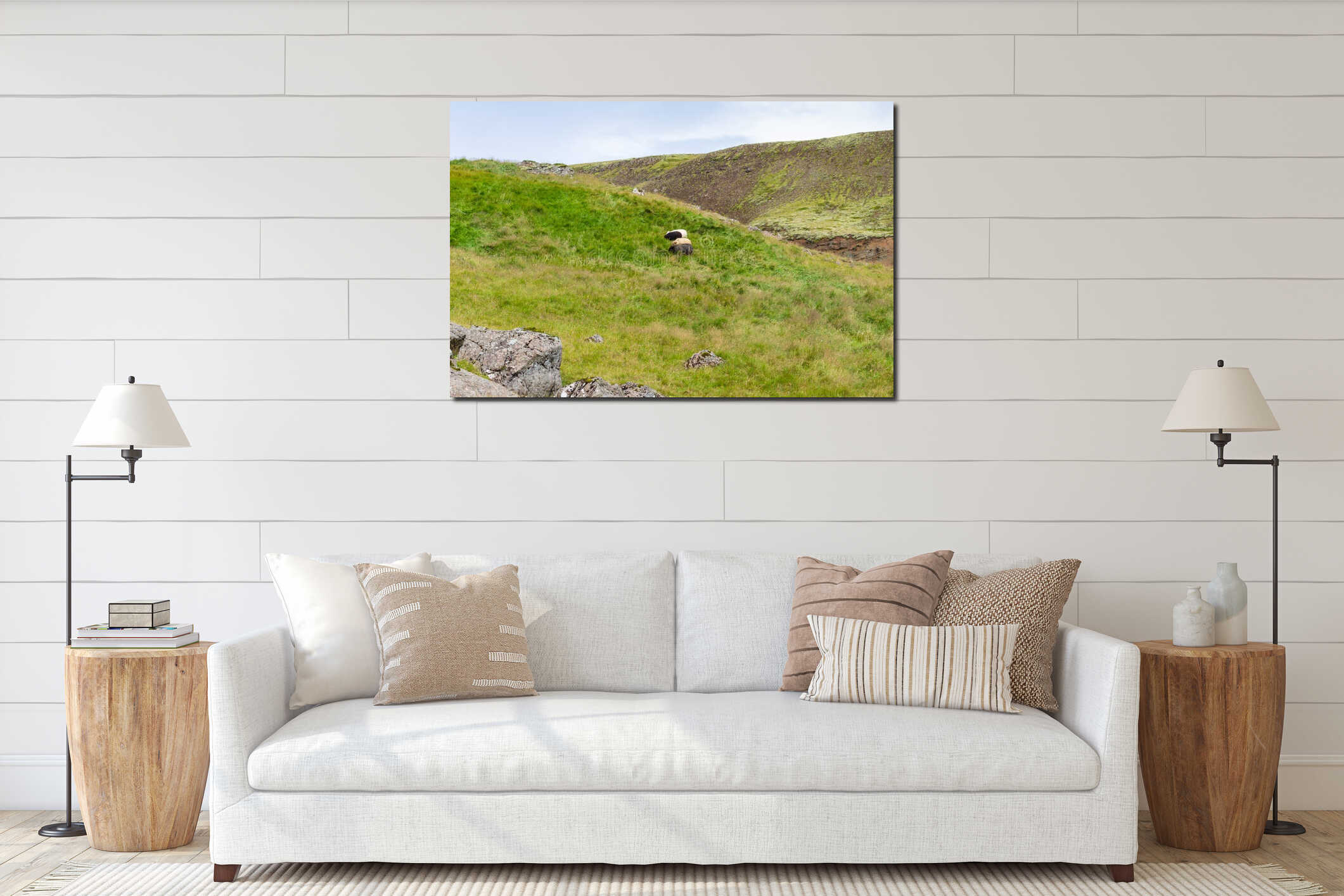 icelandic sheeps on green hill slope in Iceland interior mockup
