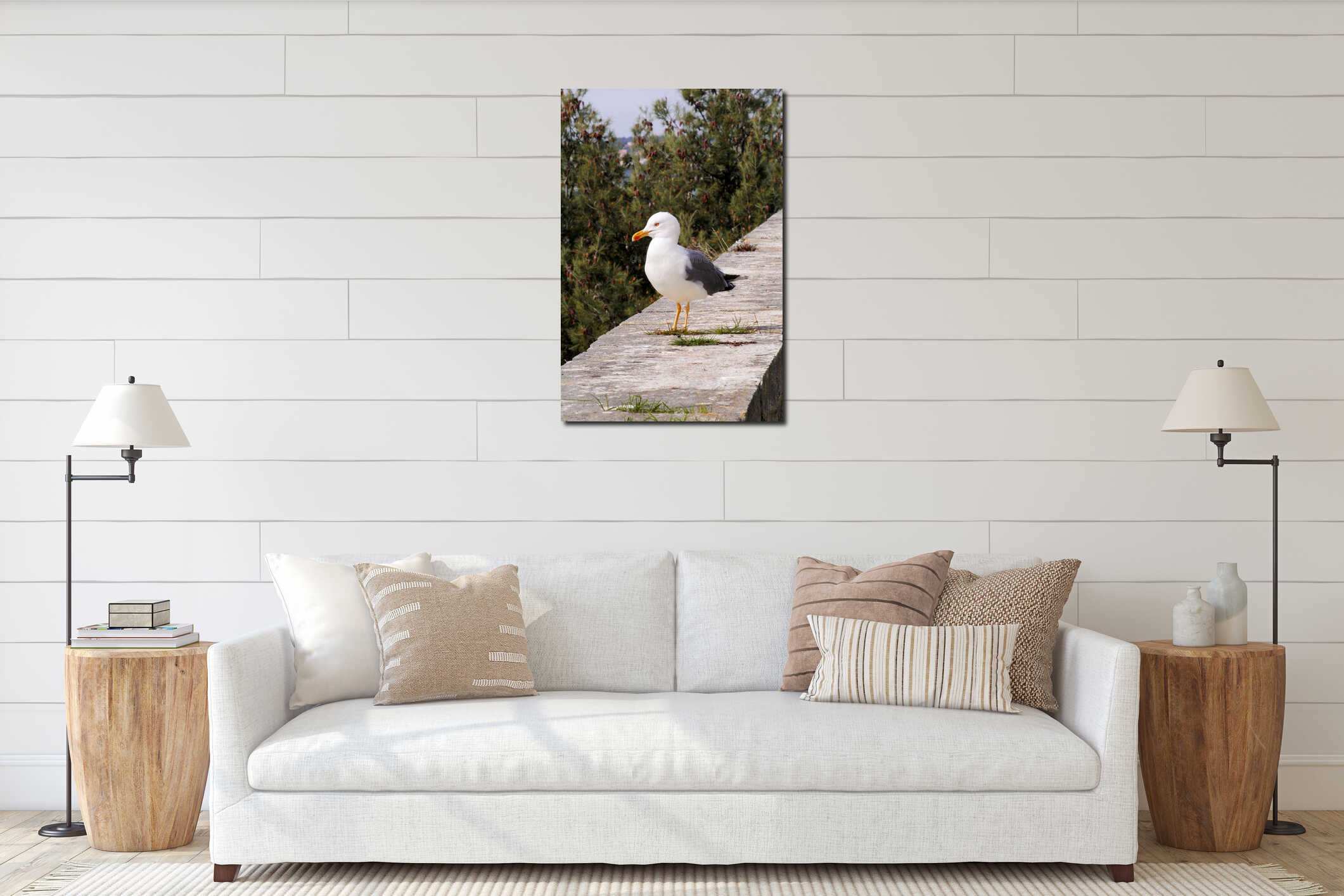 Seagull close shot and resting on dock. Seagull standing on a st interior mockup