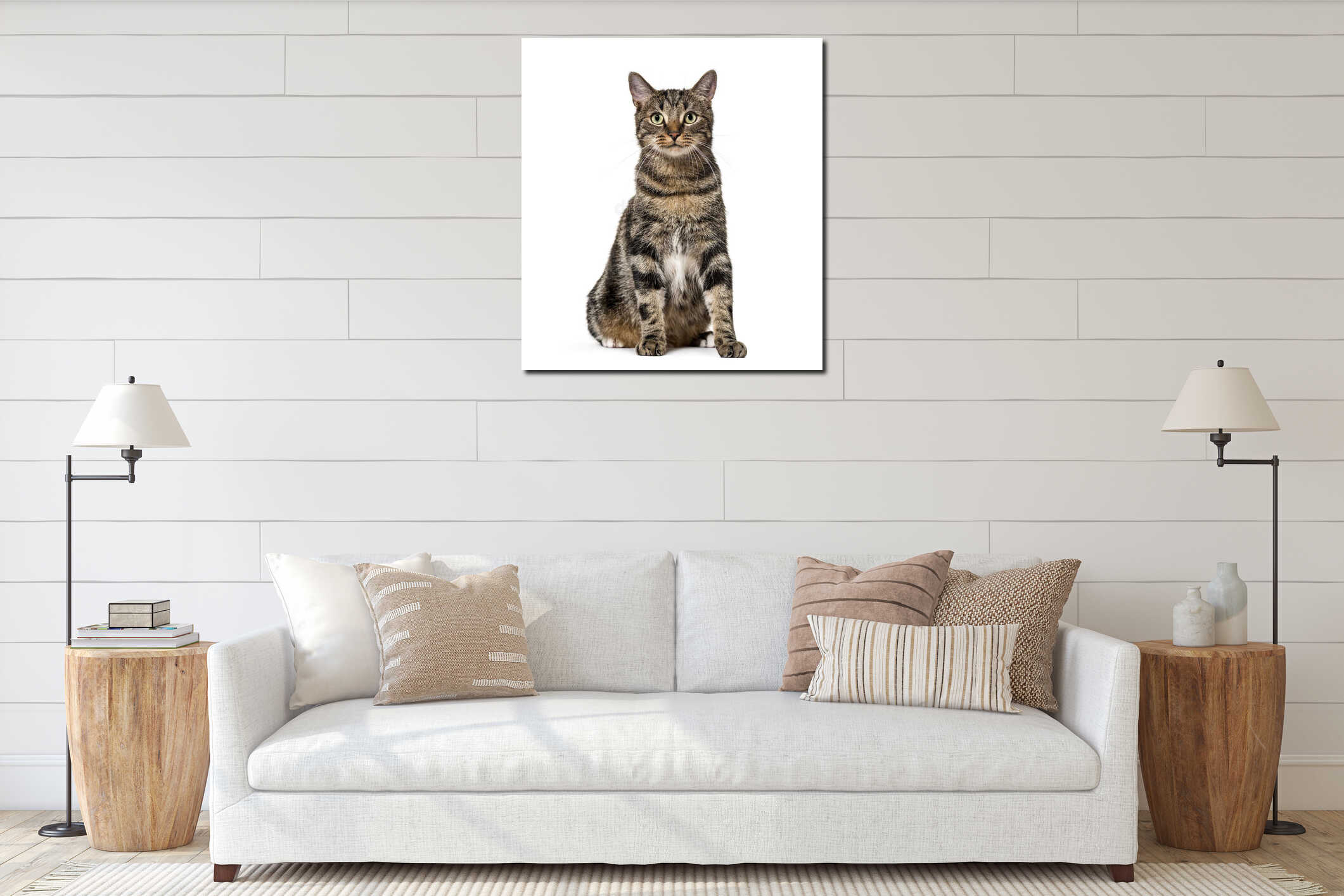 Striped mixed-breed cat sitting, isolated on white, (2 years old interior mockup