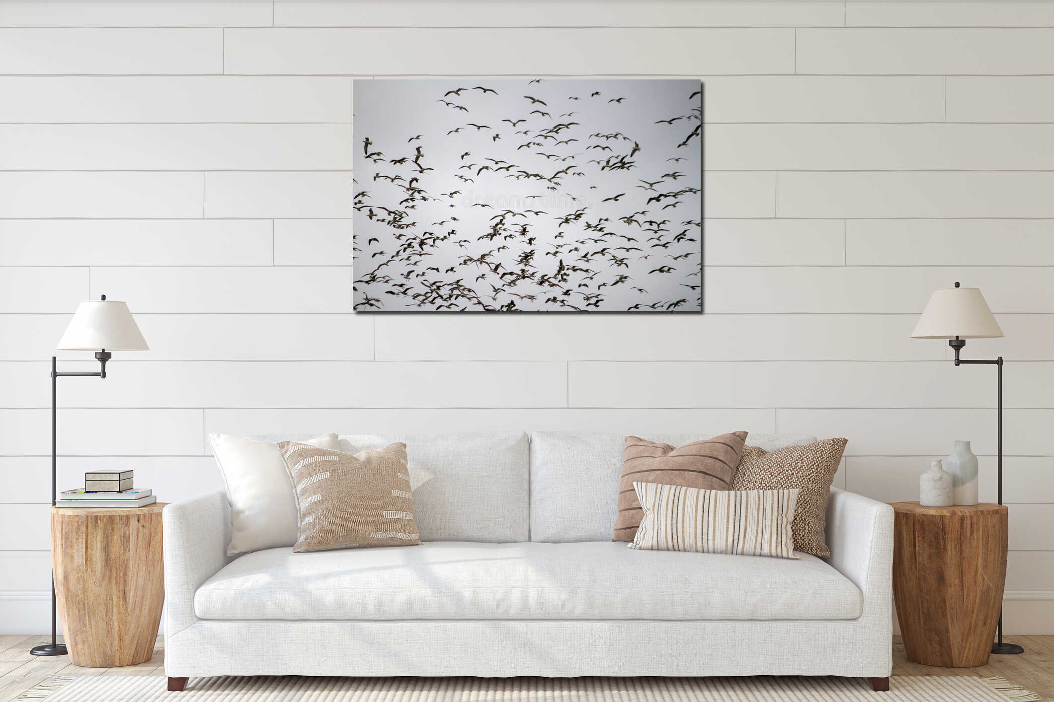 Large flock of seagulls interior mockup