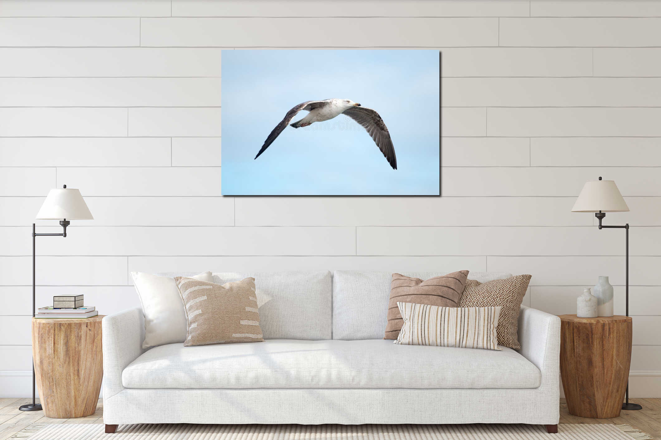 Close up of seagull flight interior mockup