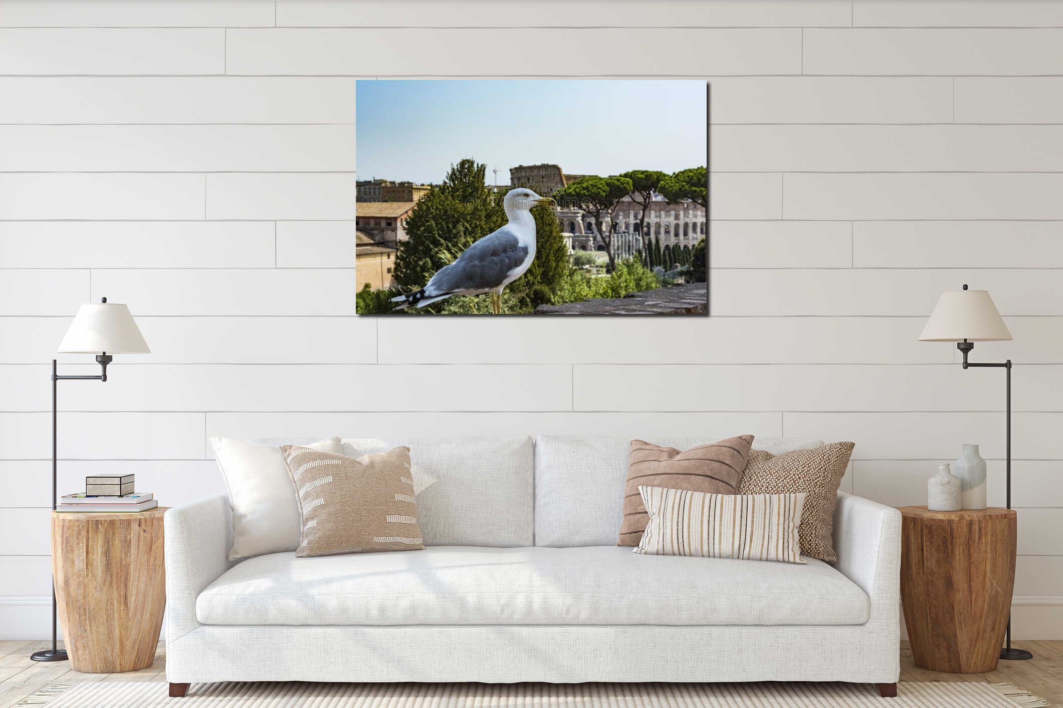 Gull on the outlook with Colosseum. Seagull watching Rome with Colosseum. Bird in the Roman Forum, the historic city center, Roma, interior mockup
