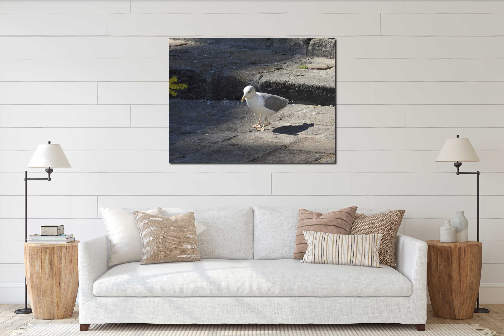 Thoughtful seagull. City of Porto. Portugal. interior mockup