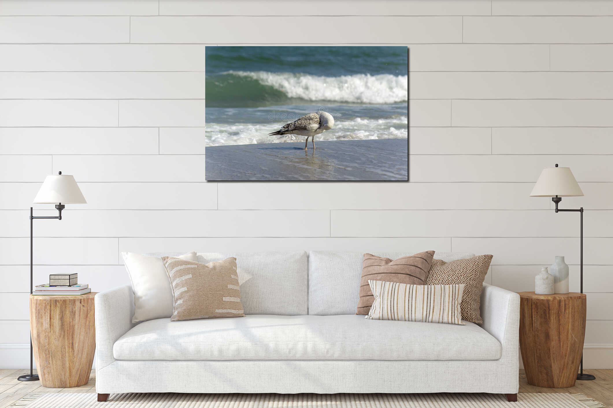 A large sea gull walking along the sea surf line interior mockup