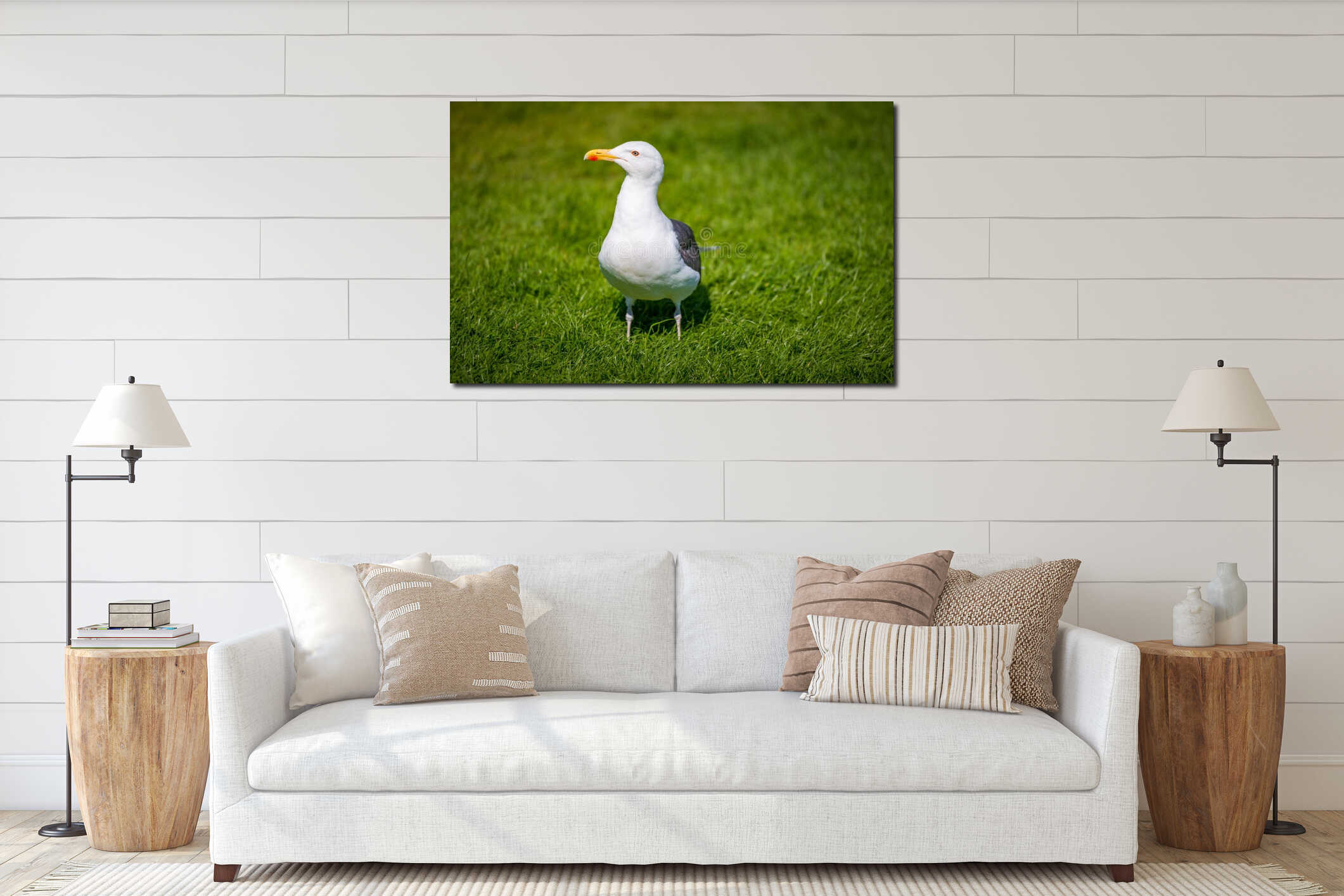 Seagull standing on green grass in park interior mockup