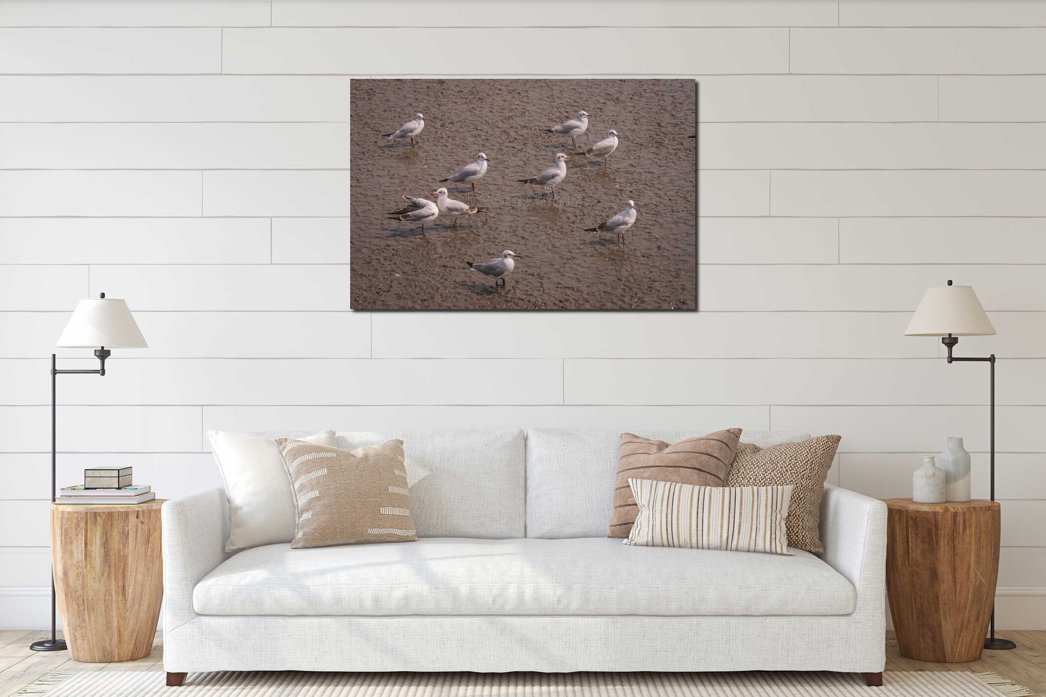 Flock of seagull birds migration standing on mud of mangrove forest at Bangpu Recreation Center, Smutprakarn Province. interior mockup