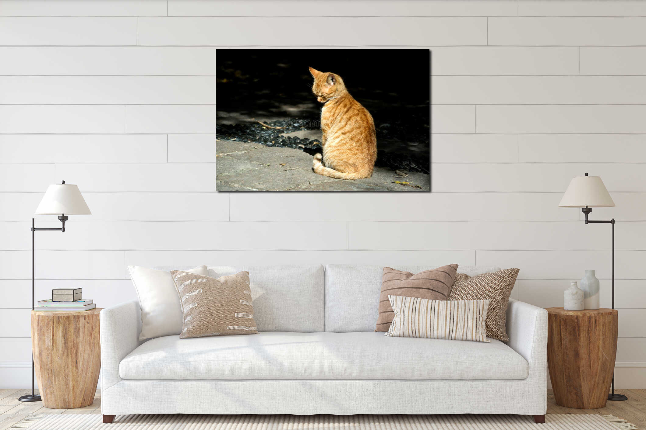 A little orange cat interior mockup