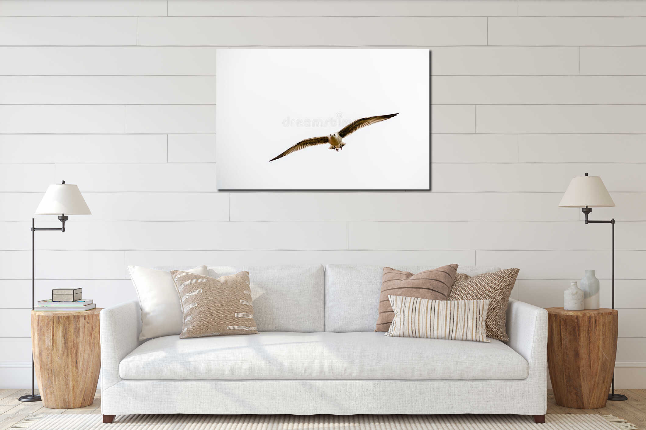 Seagull front view flying on white background interior mockup