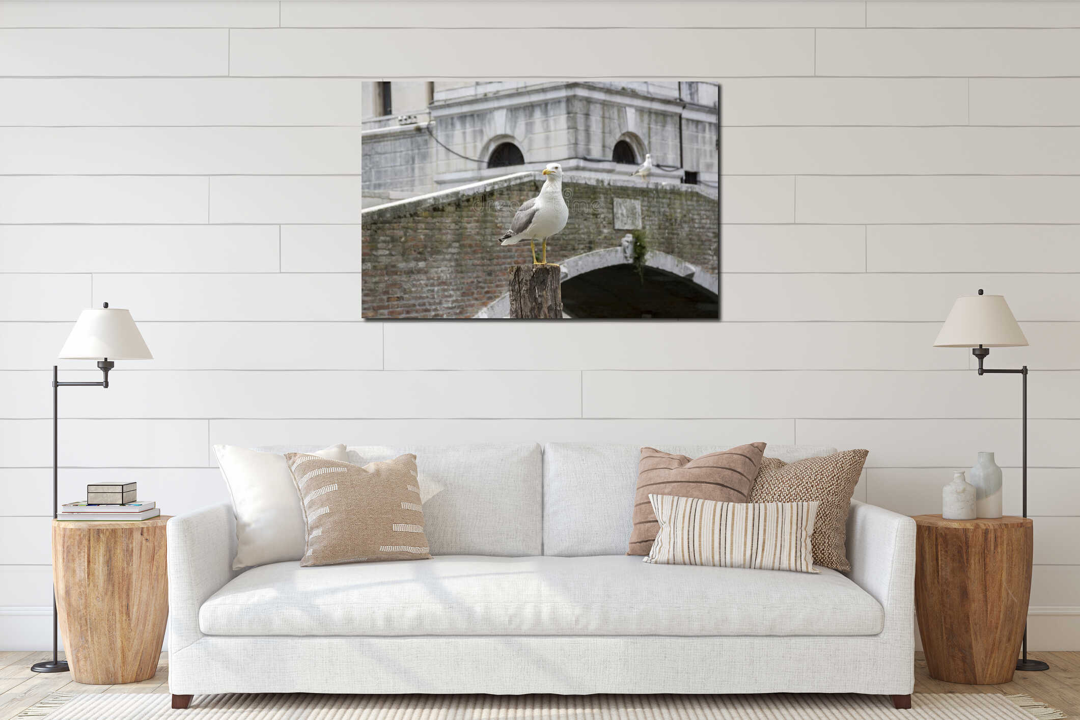 Larus michahellis, Yellow-legged gulls on wooden bricole interior mockup