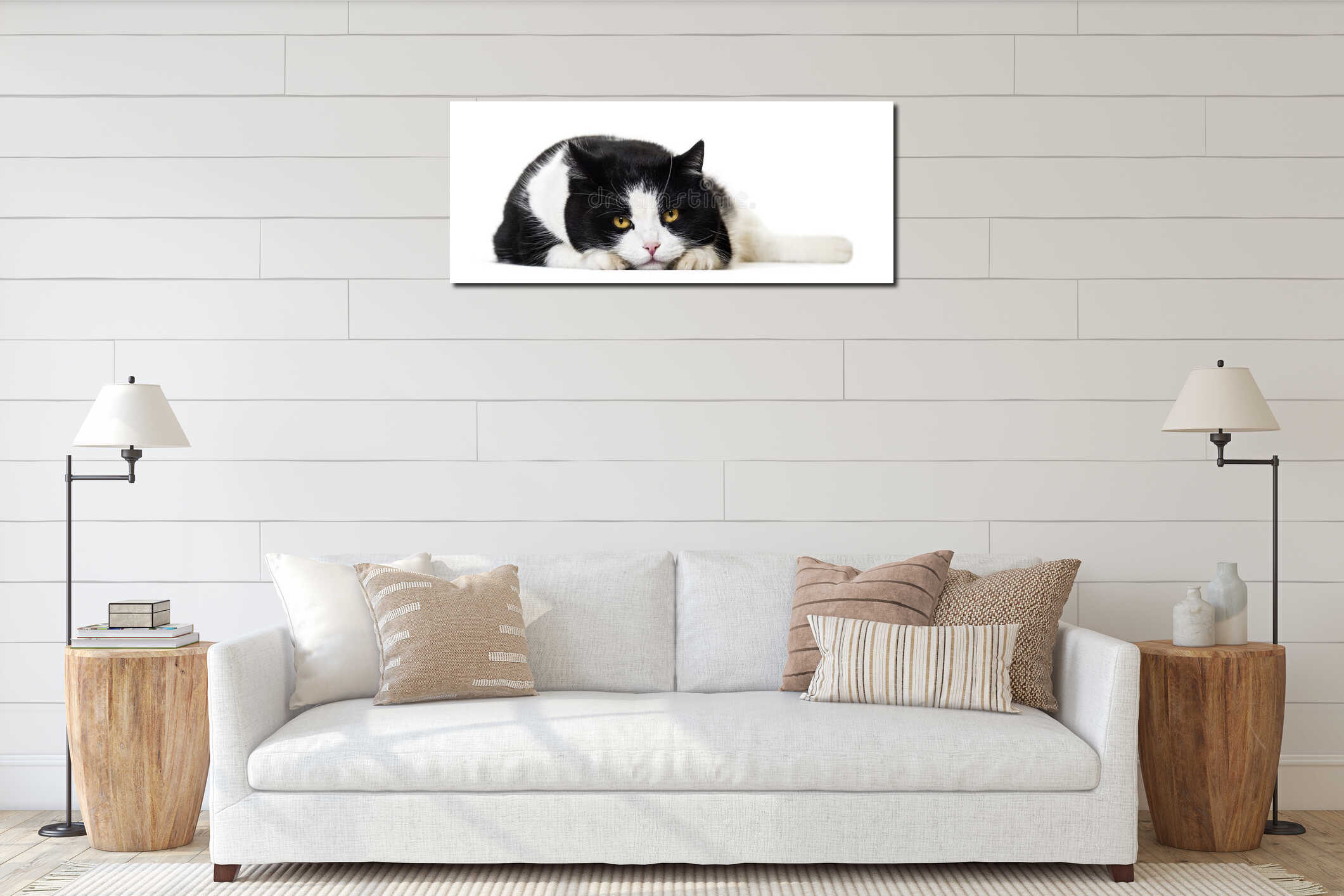 Mixed breed cat portrait against white background interior mockup
