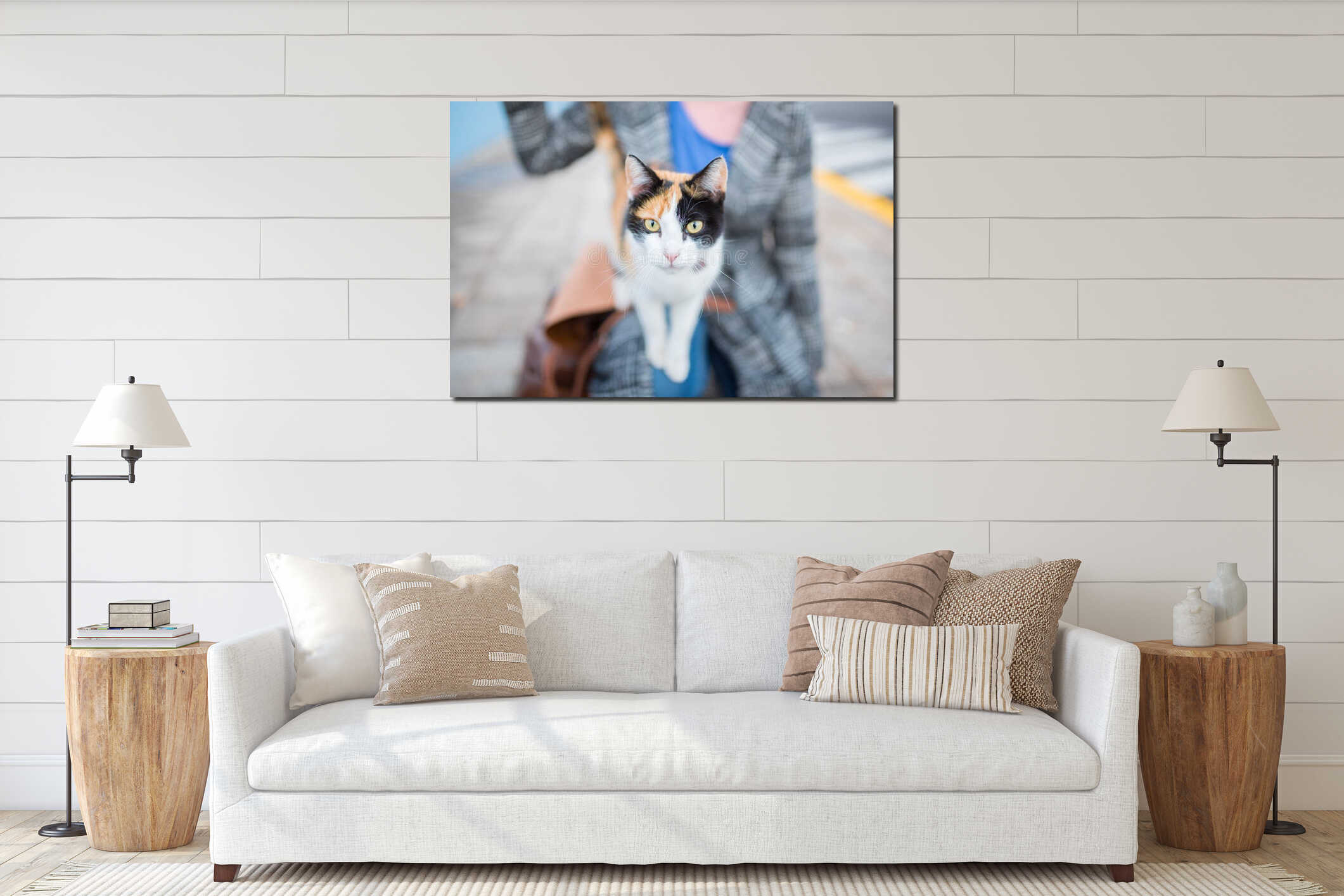 Outdoor shot of cute cat standing on woman`s leg interior mockup