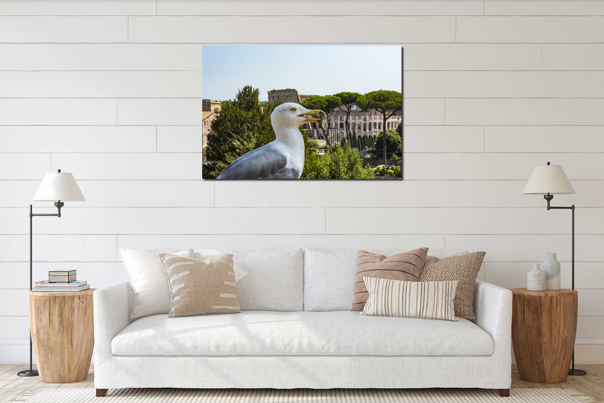 Gull on the outlook with Colosseum. Seagull watching Rome with Colosseum. Bird in the Roman Forum, the historic city center, Roma, interior mockup