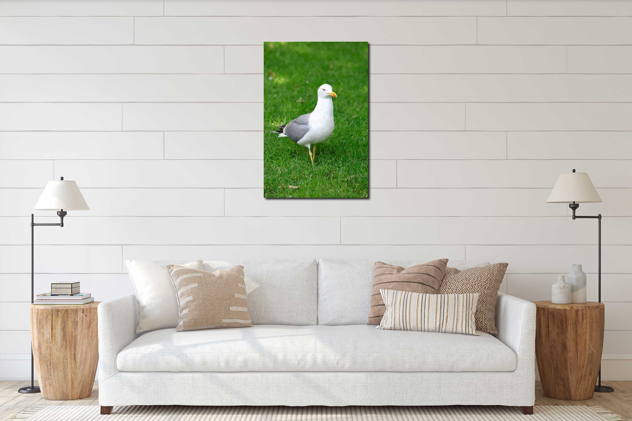 Seagull standing on green grass in park. interior mockup