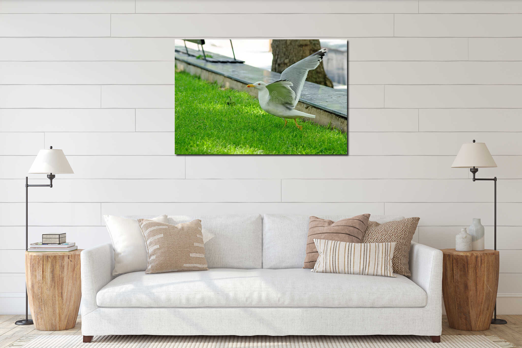 Seagull standing on green grass in park. interior mockup