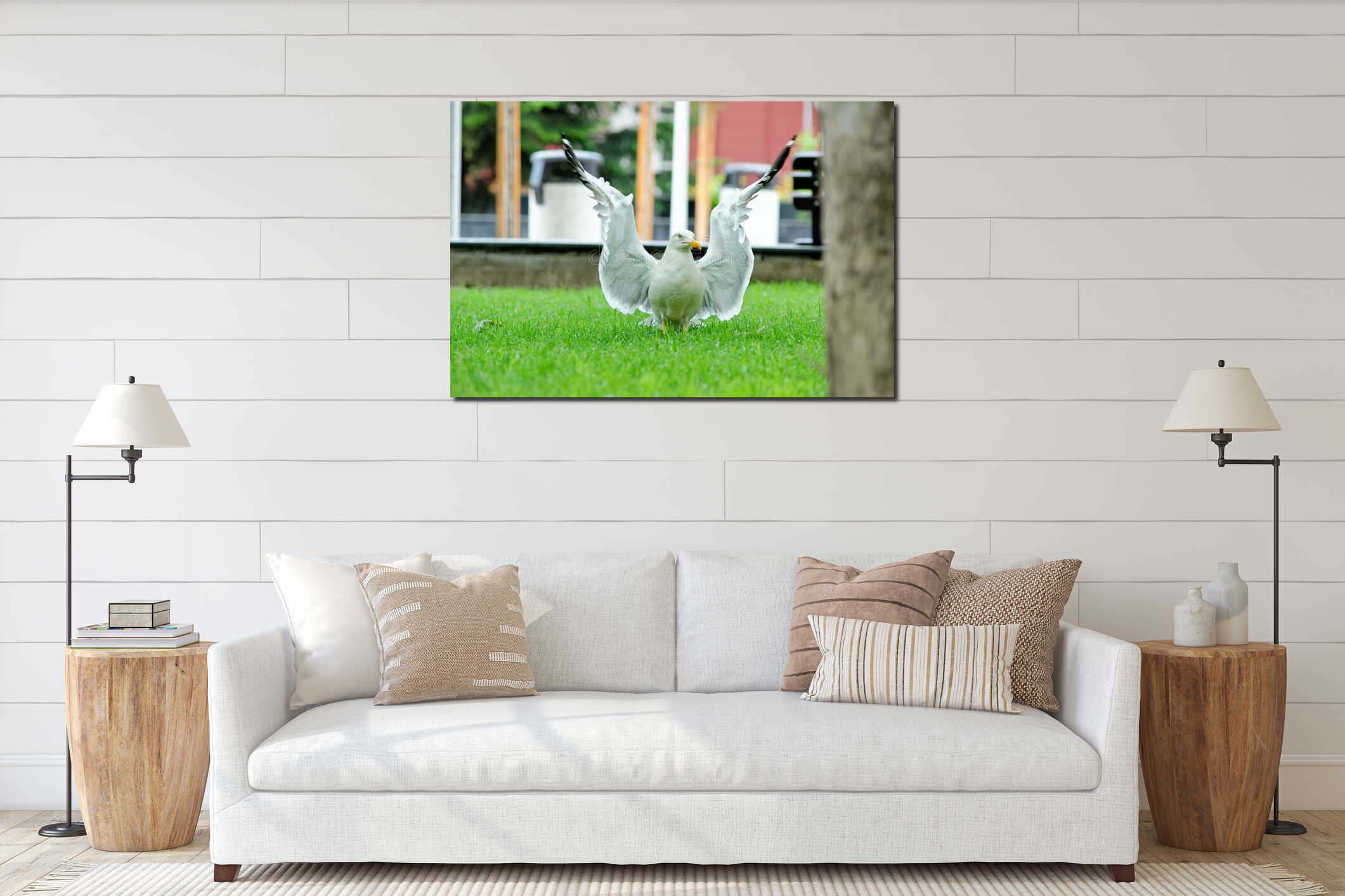Seagull standing on green grass in park. interior mockup