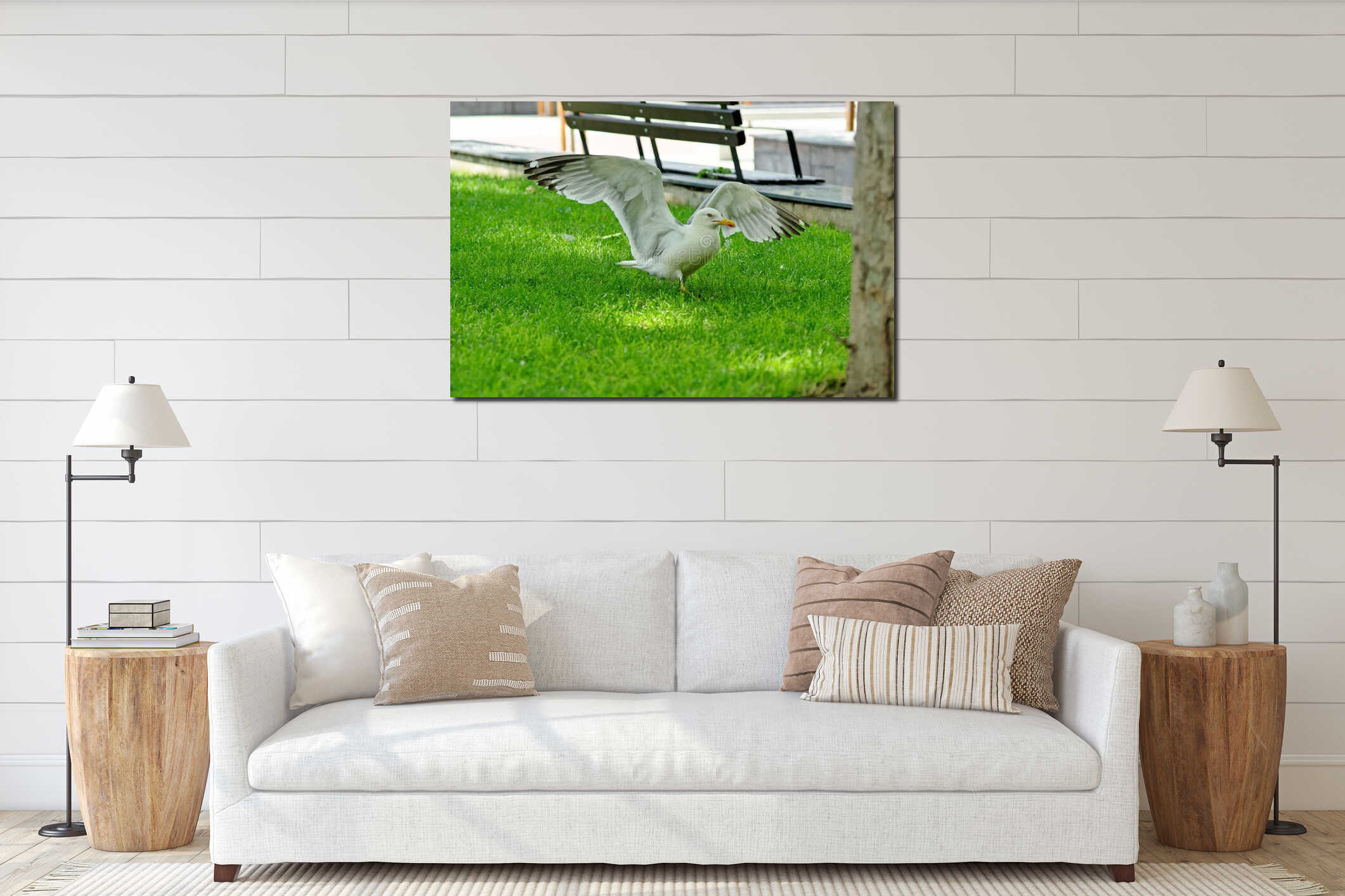 Seagull standing on green grass in park. interior mockup