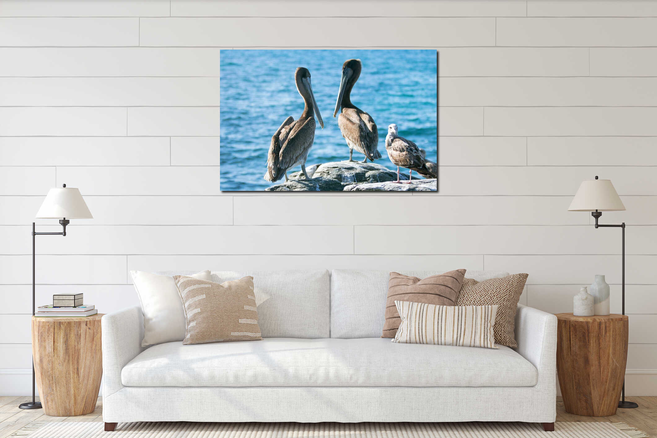 California Brown Pelicans and seagull perching on rocky outcrop at Cerritos Beach at Punta Lobos in Baja California Mexico interior mockup
