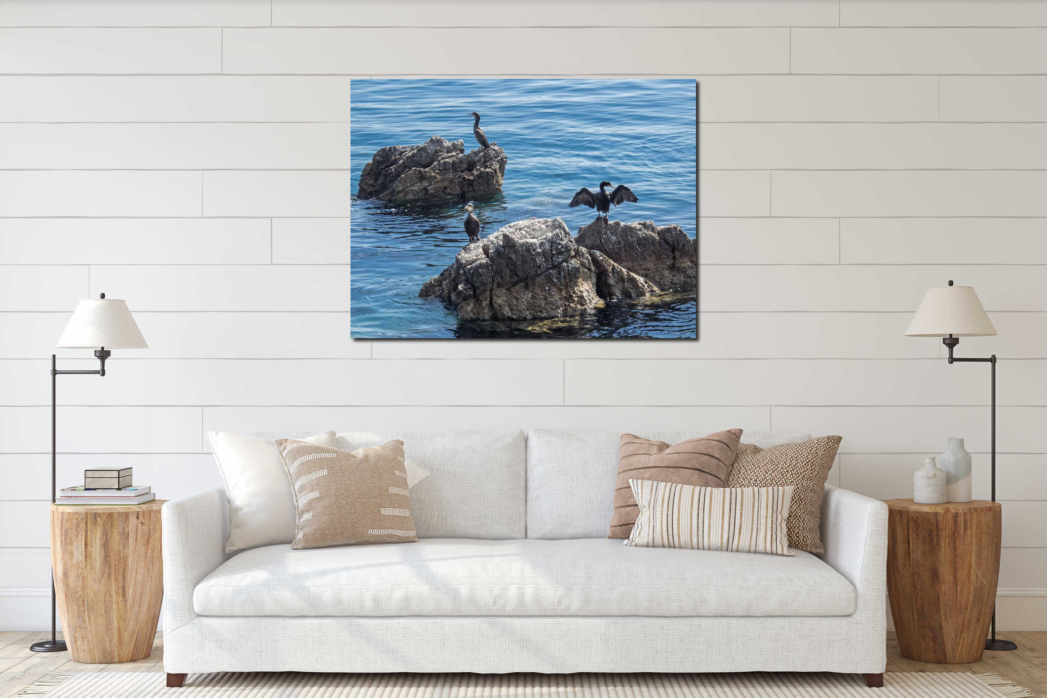 Three cormorants are sitting on rocks in the Adriatic Sea near to the coast of Croatia interior mockup