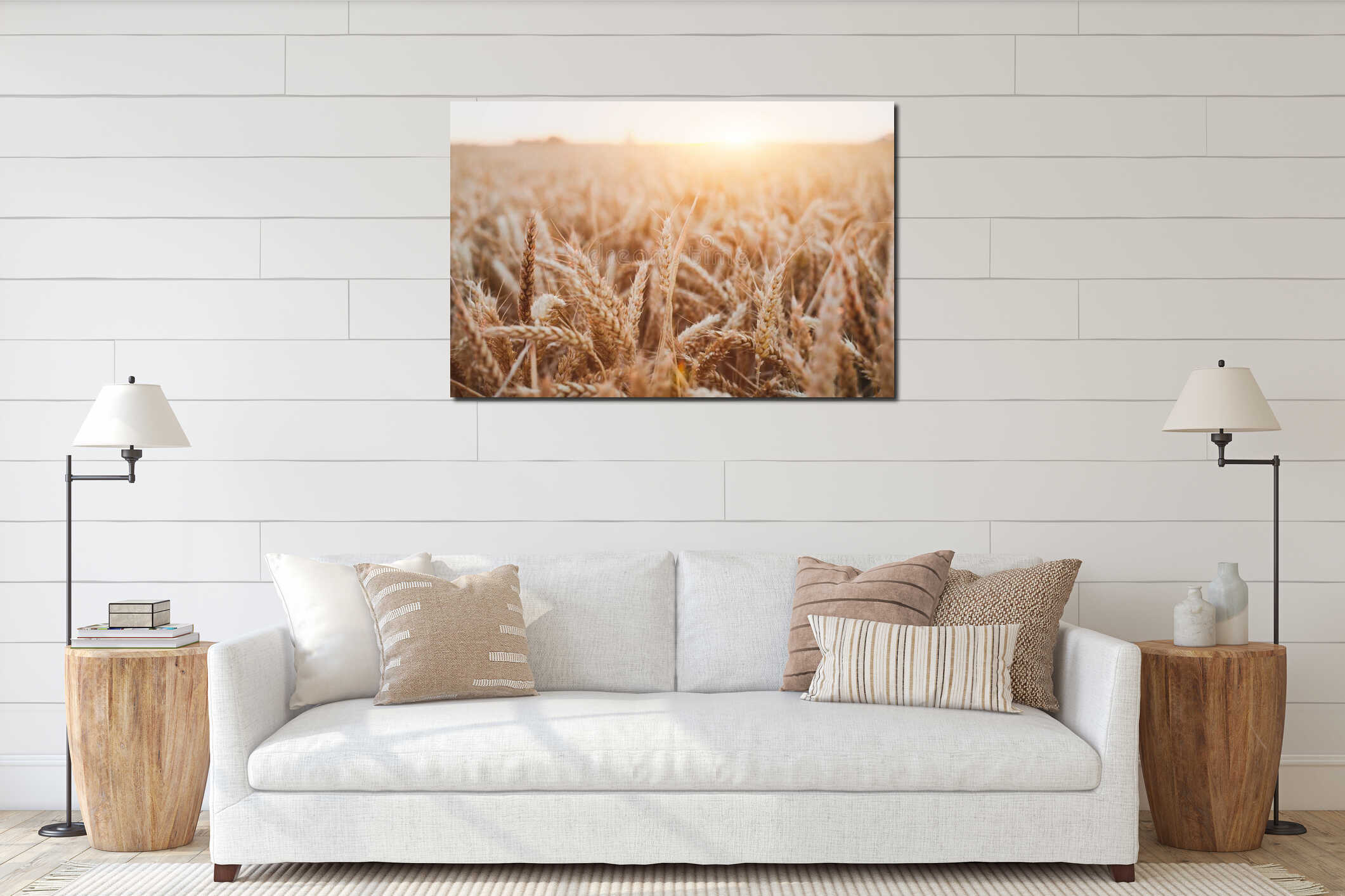 Wheat crop field beautiful background with golden sunset light, harvesting interior mockup