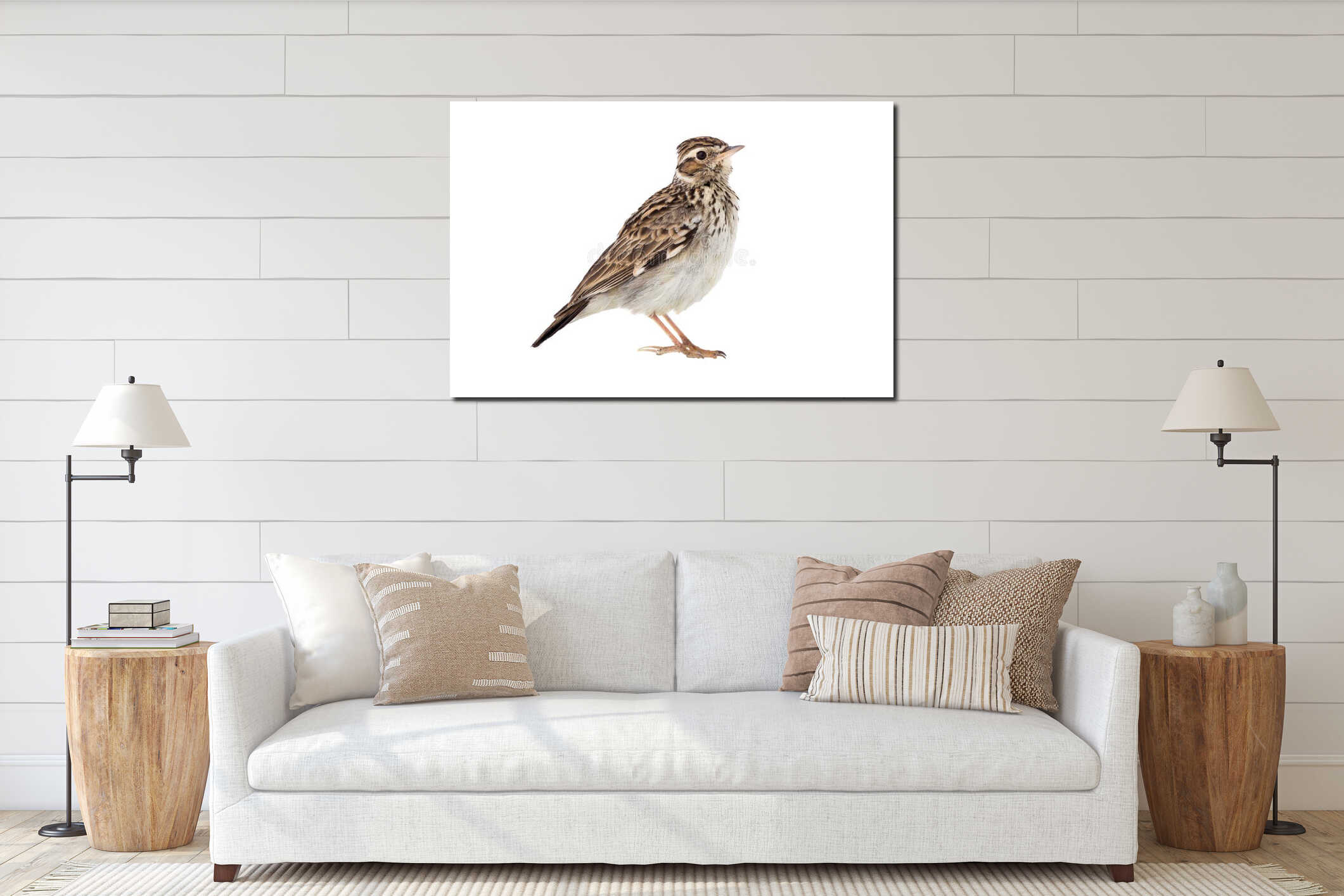 Wood Lark Lullula arborea interior mockup