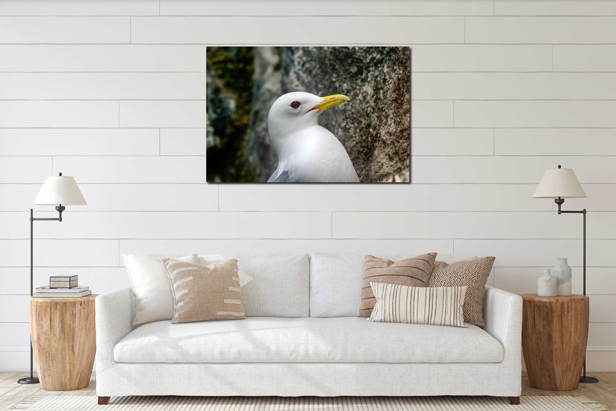 Kittiwakes - portrait of Seagull interior mockup