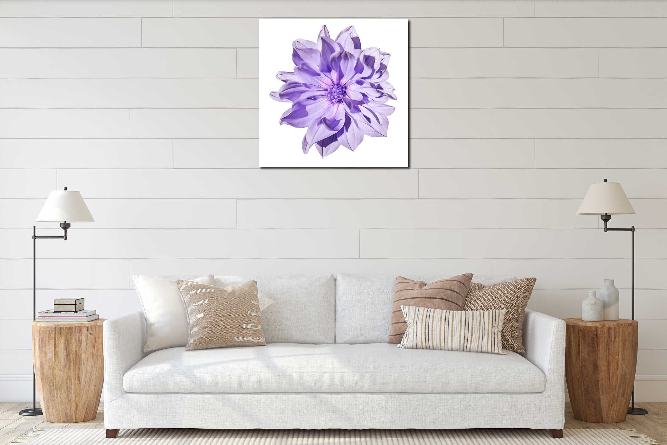 Dahlia light purple flower on an isolated white background with clipping path. Closeup. No shadows. interior mockup