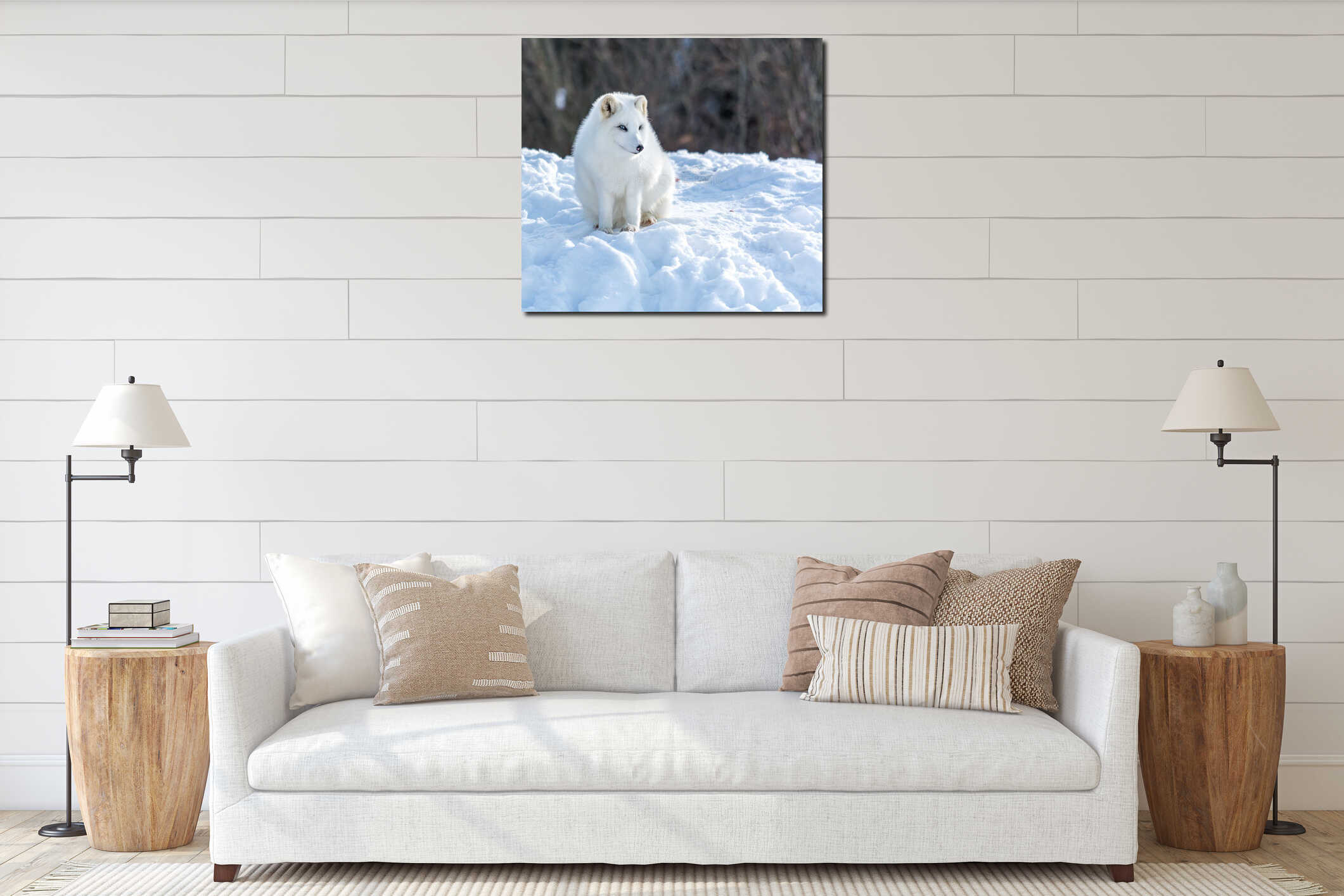 Arctic Fox Under the Sun in Winter interior mockup