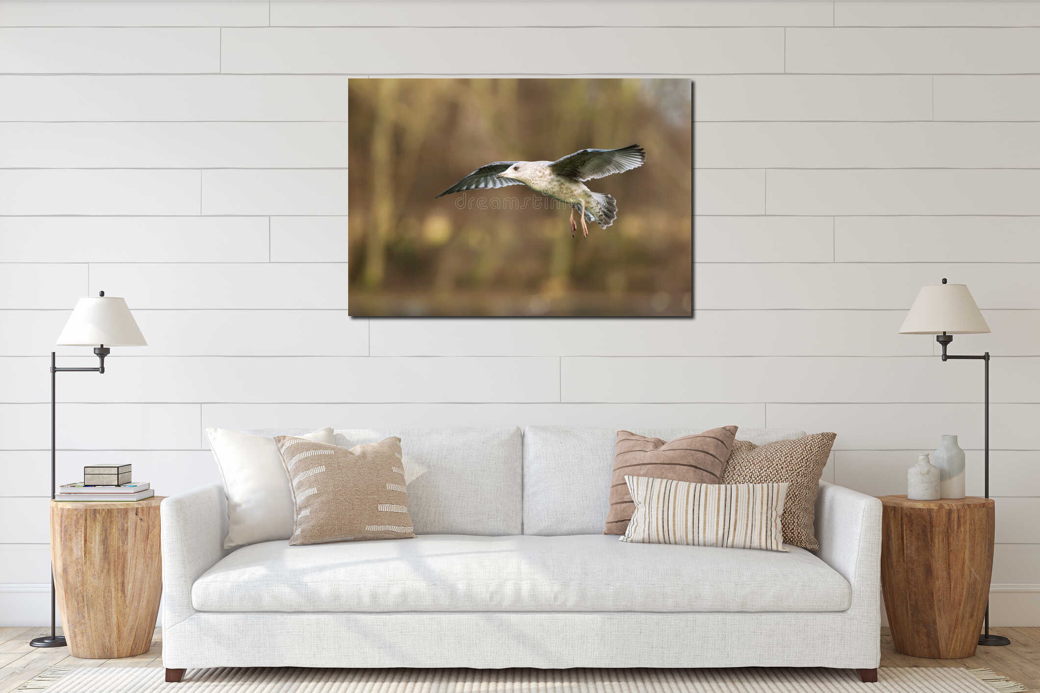 Close-up of a juvenile herring gull in flight interior mockup
