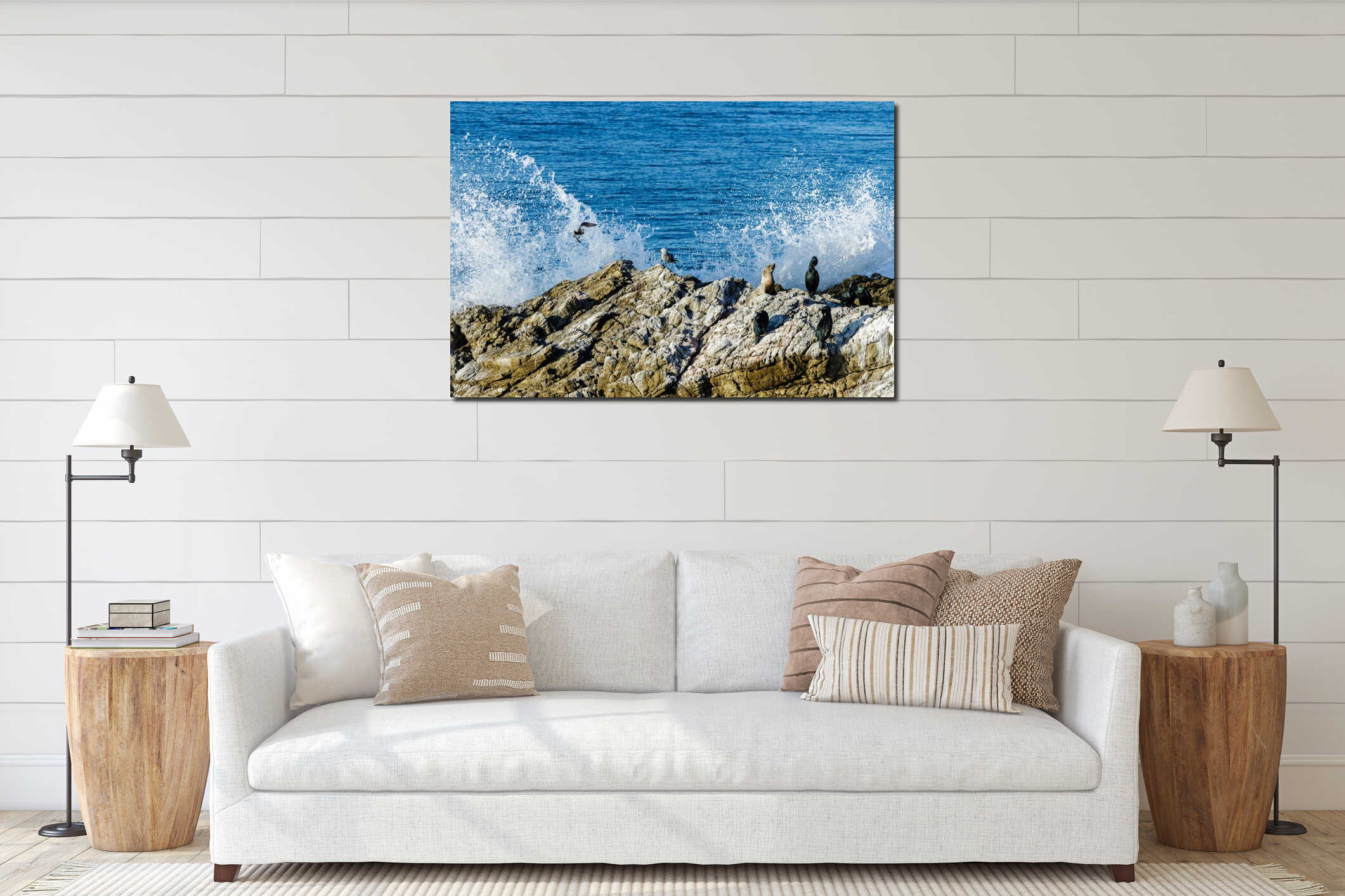 Seal, seagull and cormorant sitting on rock; wimbrel flying. Ocean and wave breaking against rock in background. interior mockup