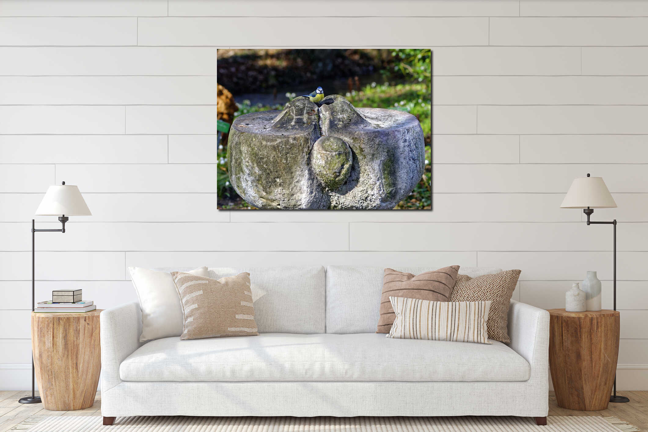 Eurasian Blue tit bird on stone fountain interior mockup