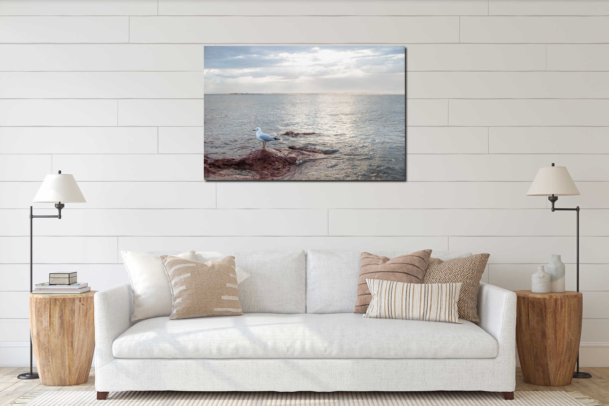 Seagull sitting on red rock during sunset with view on ocean, Cowes, Phillip Island, Australia interior mockup