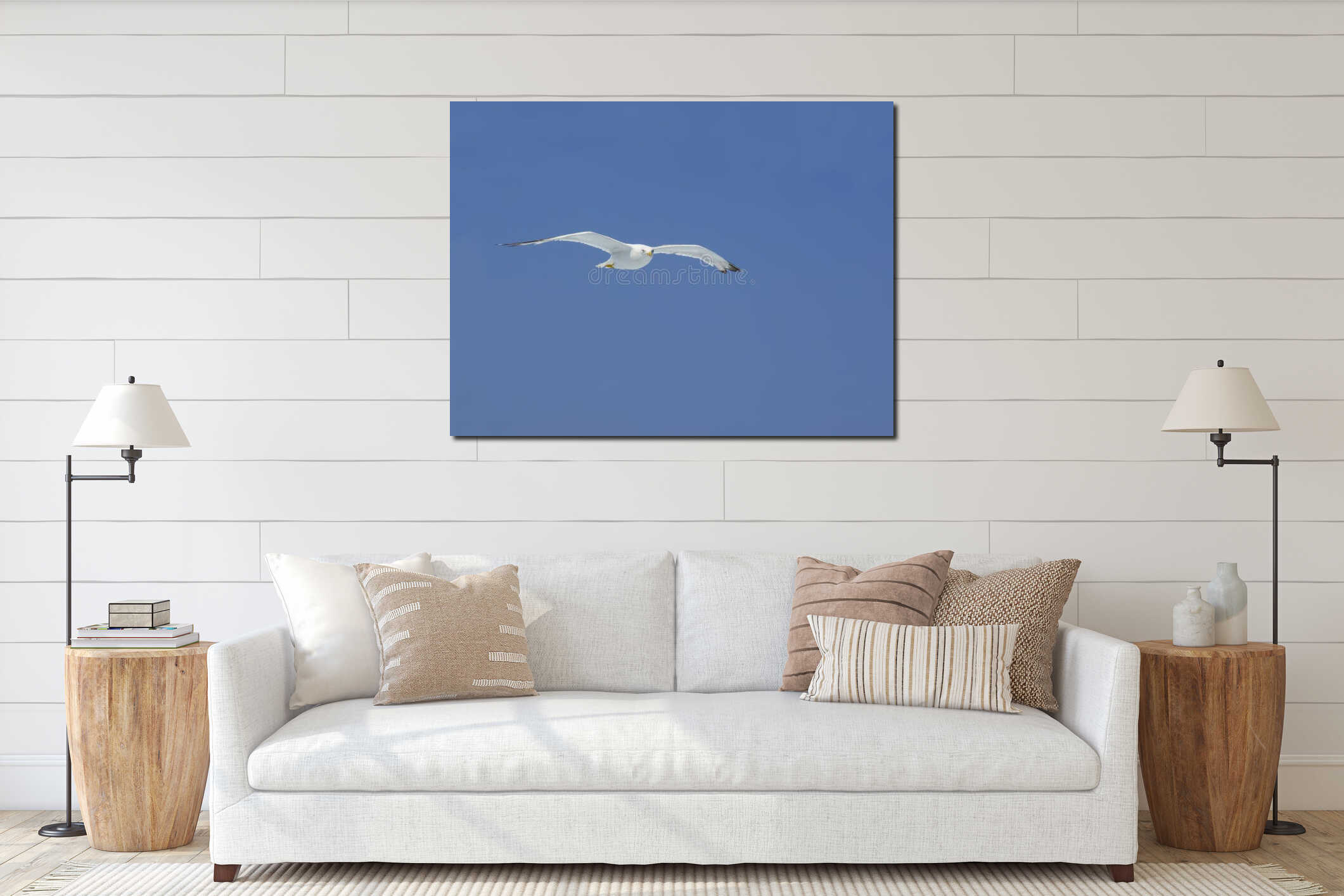 High flying soaring white seagull interior mockup