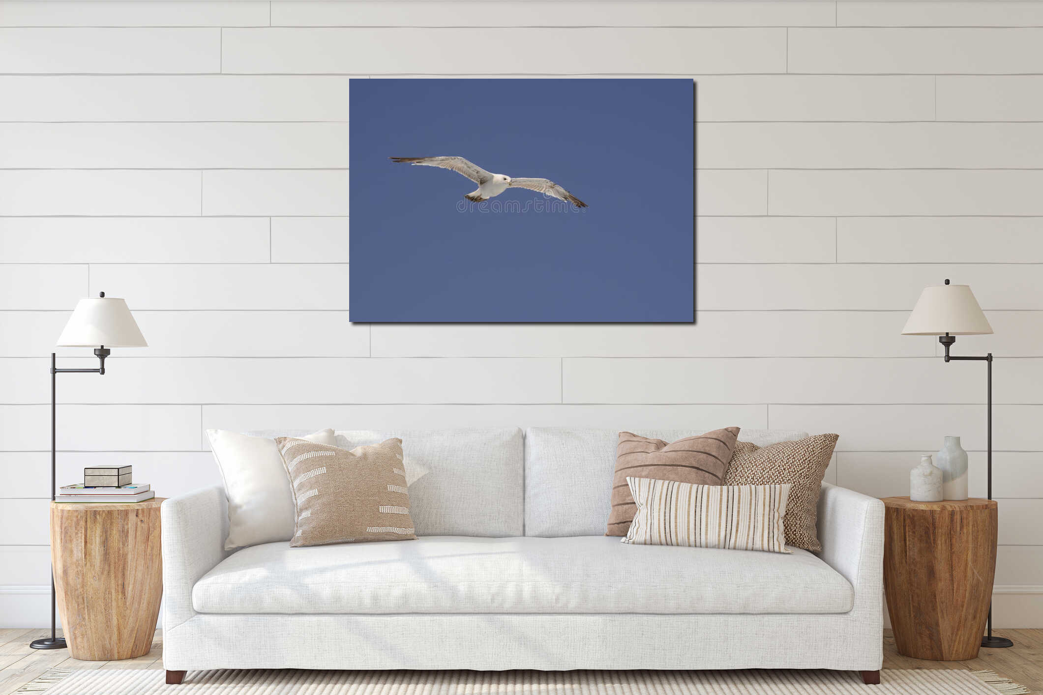 High flying soaring white seagull interior mockup