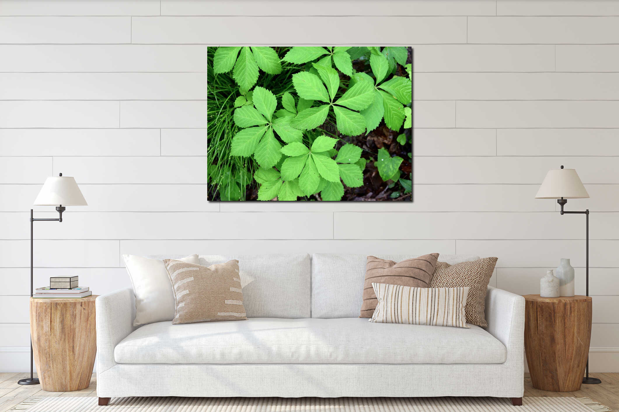 Bright green leaves of a Virginia creeper plant in a forest. interior mockup