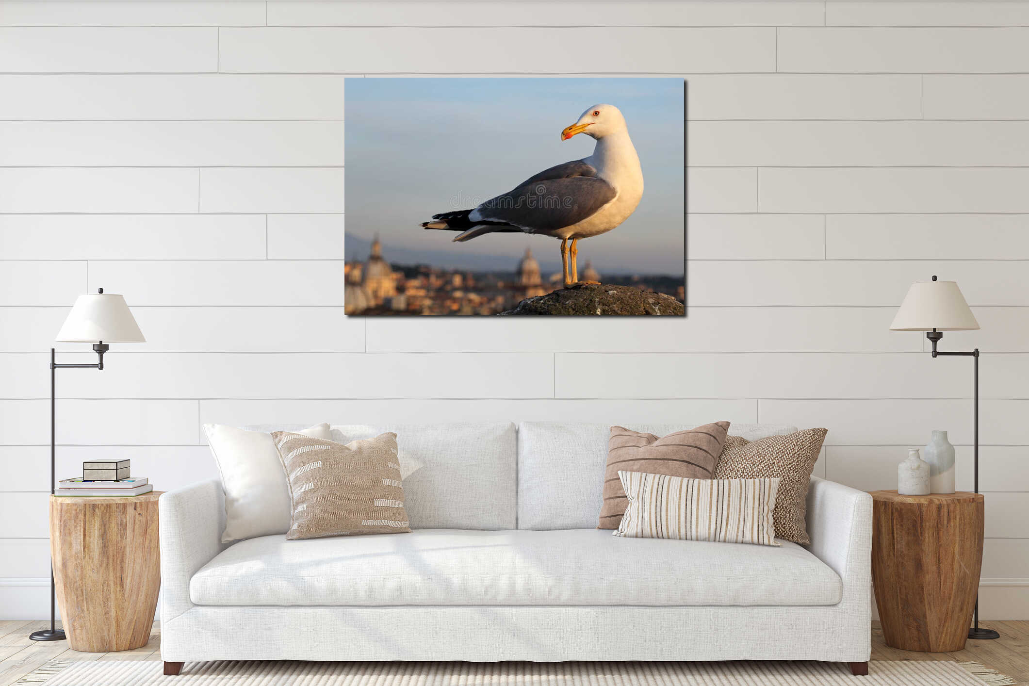 Seagull in Rome interior mockup