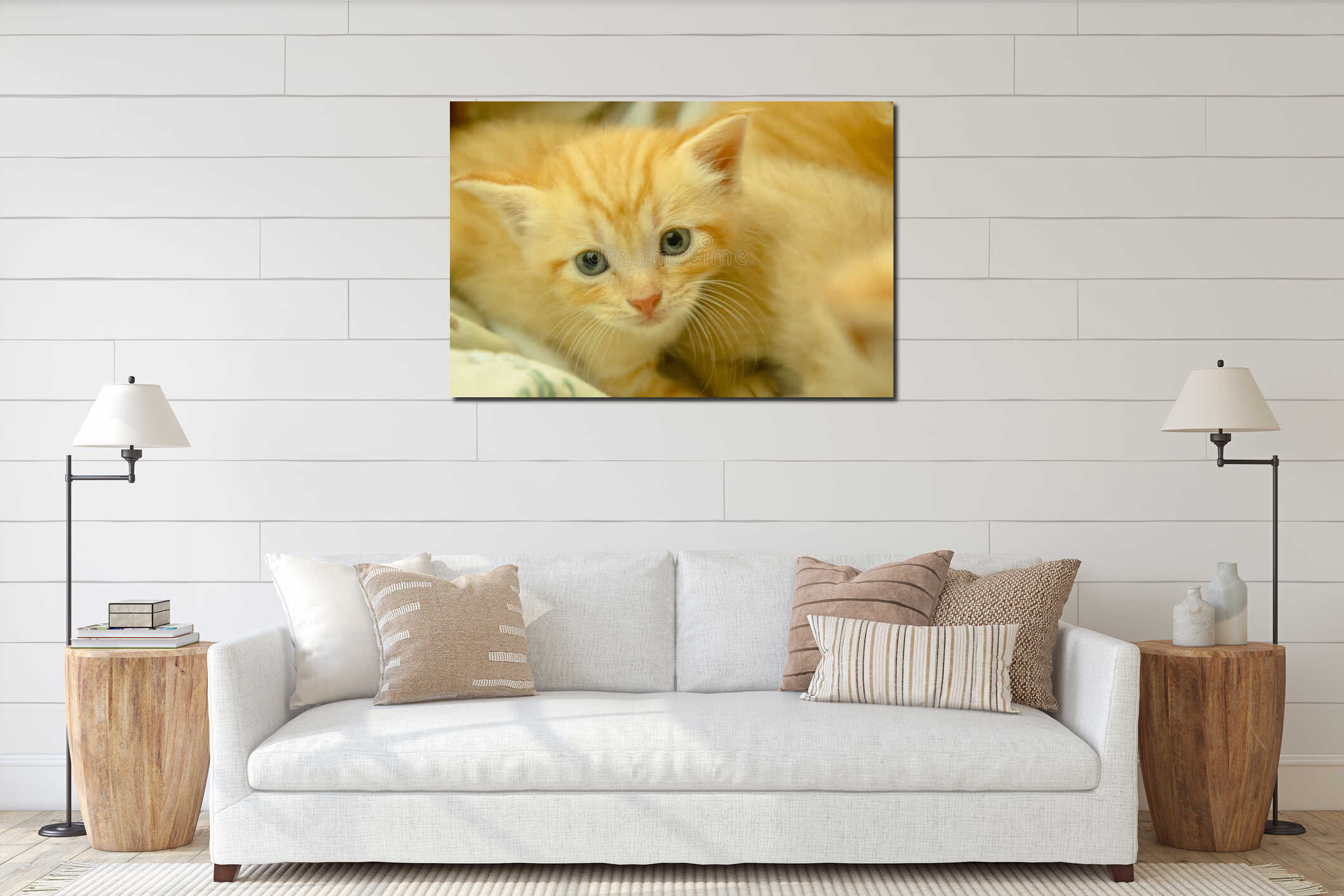 Persian kittens Brown interior mockup