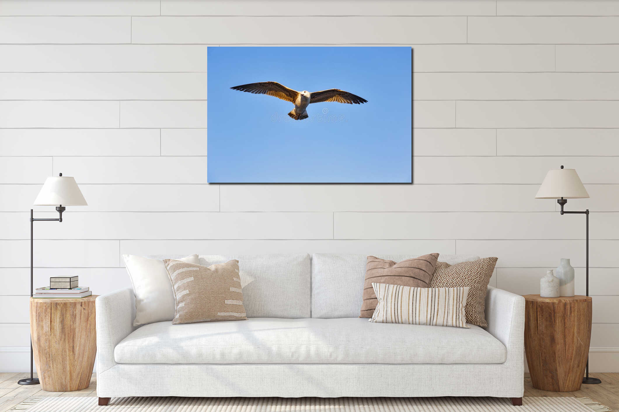 One seagull gliding in the sky interior mockup