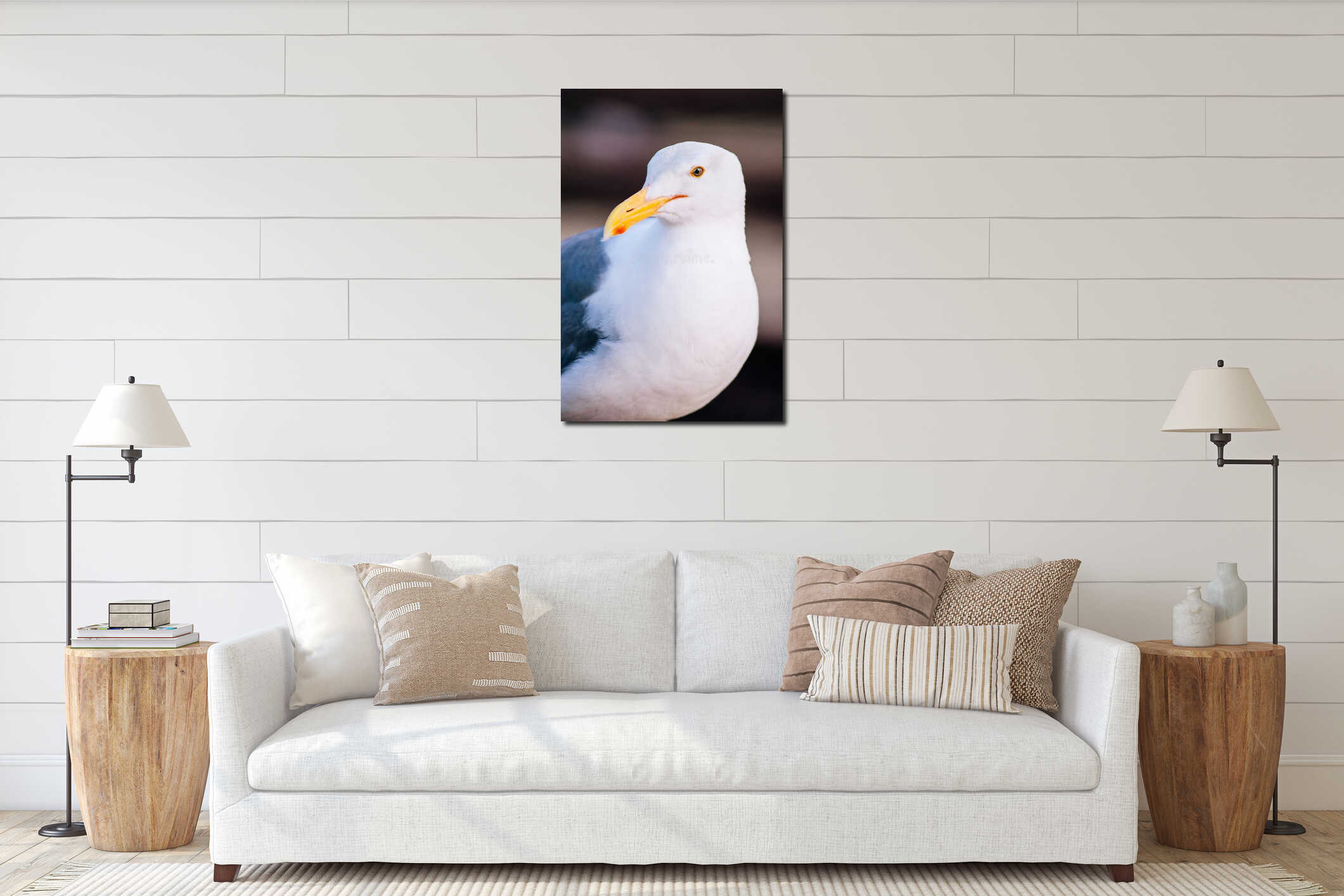 Beautiful seagull white and gray feather at Pier 39 San Francisco interior mockup