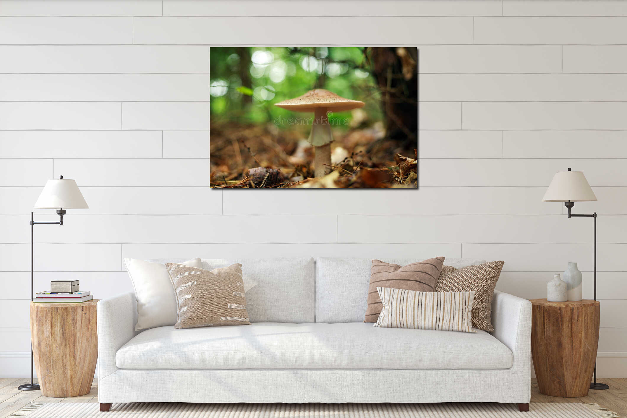 Mushrooms growing in ground autumn forest closeup interior mockup