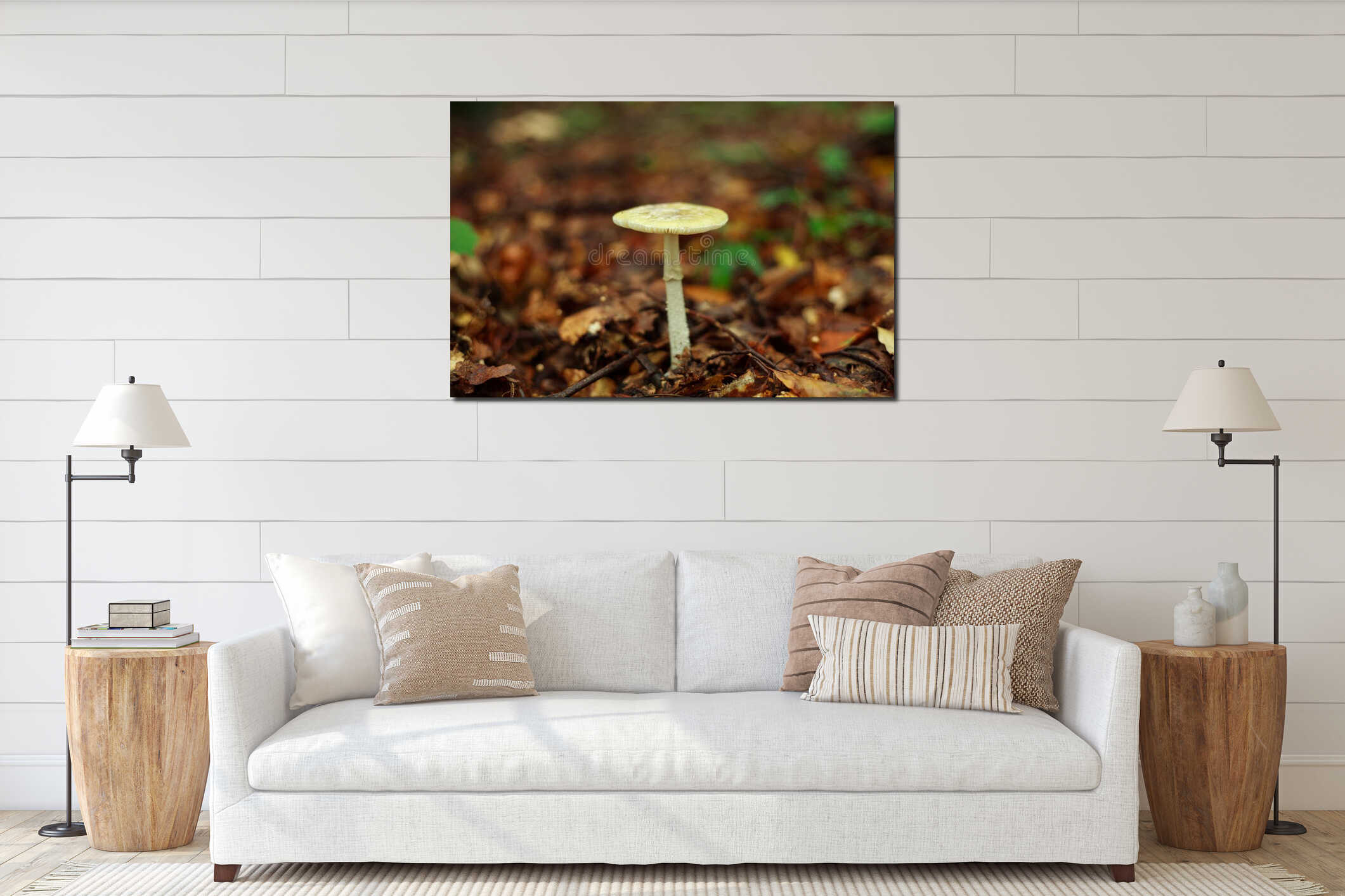 Mushrooms growing in ground autumn forest closeup interior mockup