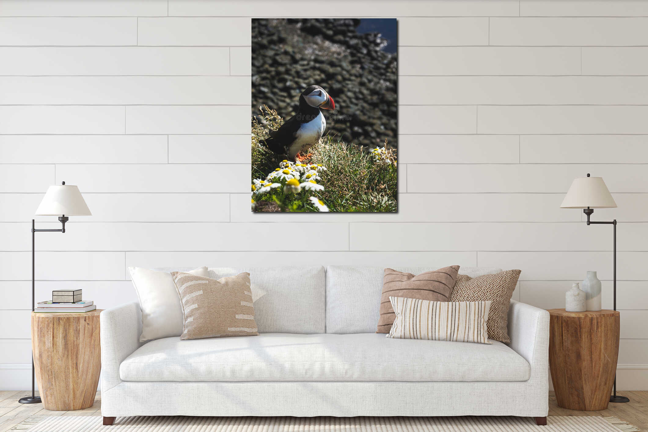 beautiful puffin with chamomiles at Latrabjarg Bird Cliffs interior mockup