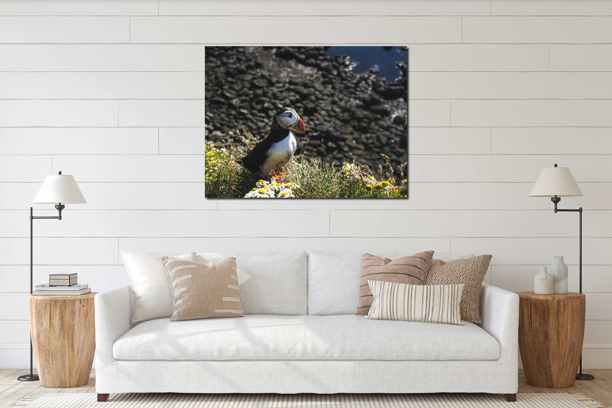 Puffin on grass with flowers at Latrabjarg Bird Cliffs interior mockup