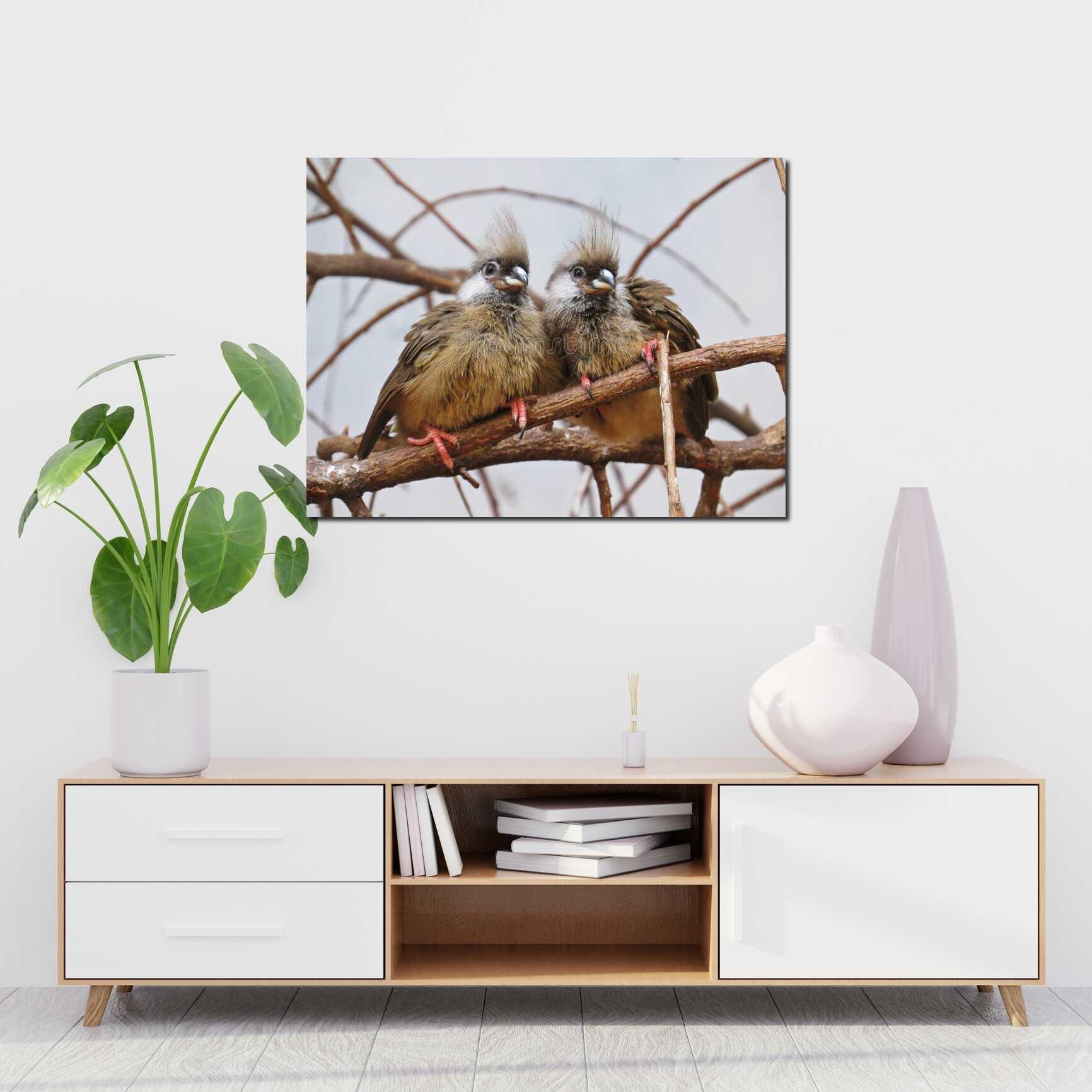 Canvas above sofa for size context