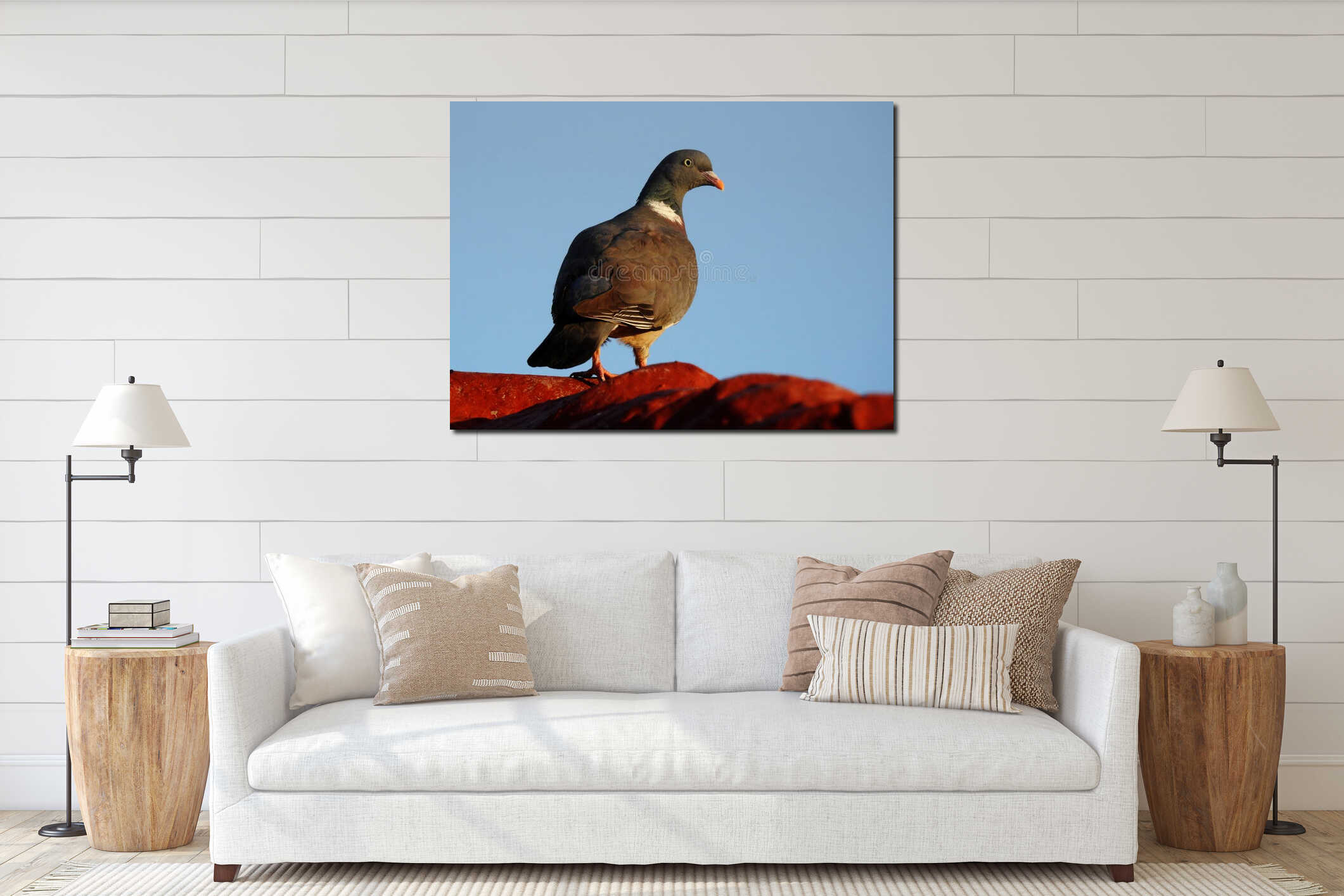 A pigeon on the roof interior mockup