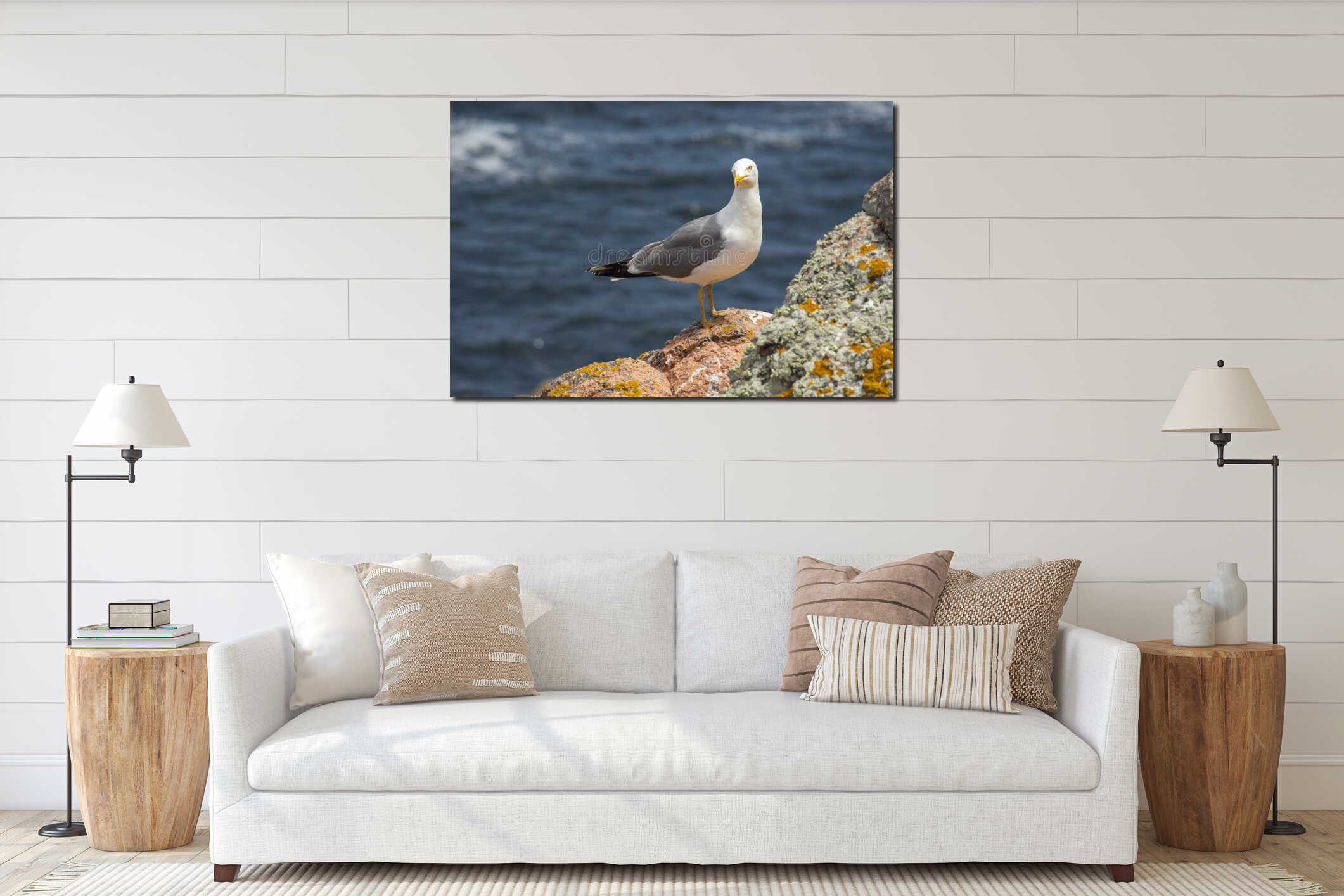 Seagull standing on a rock with the atlantic ocean behind interior mockup